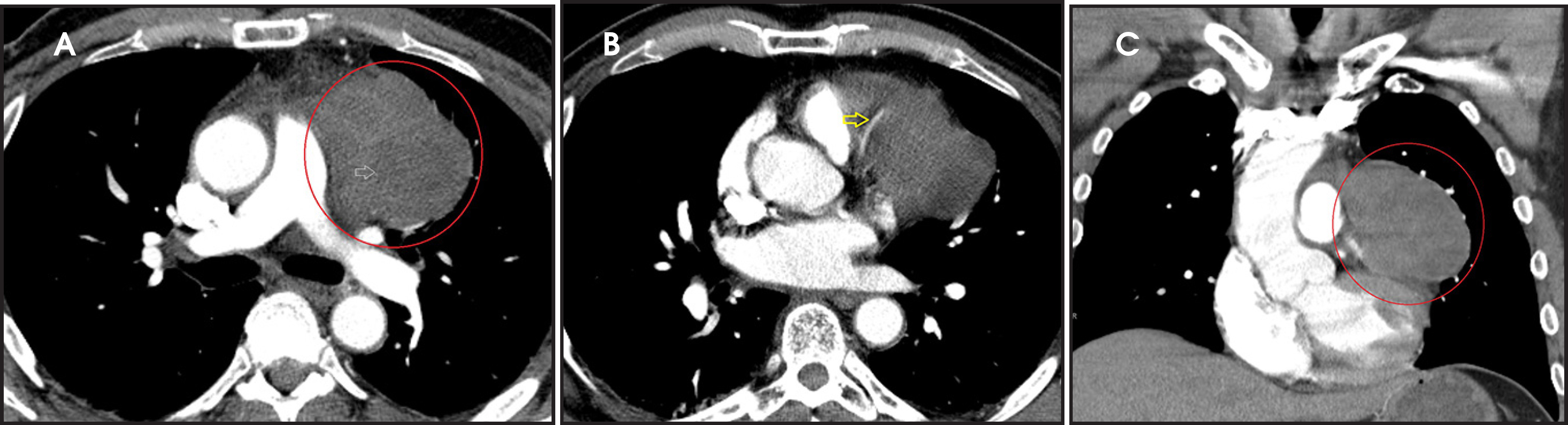 FIGURE 2.