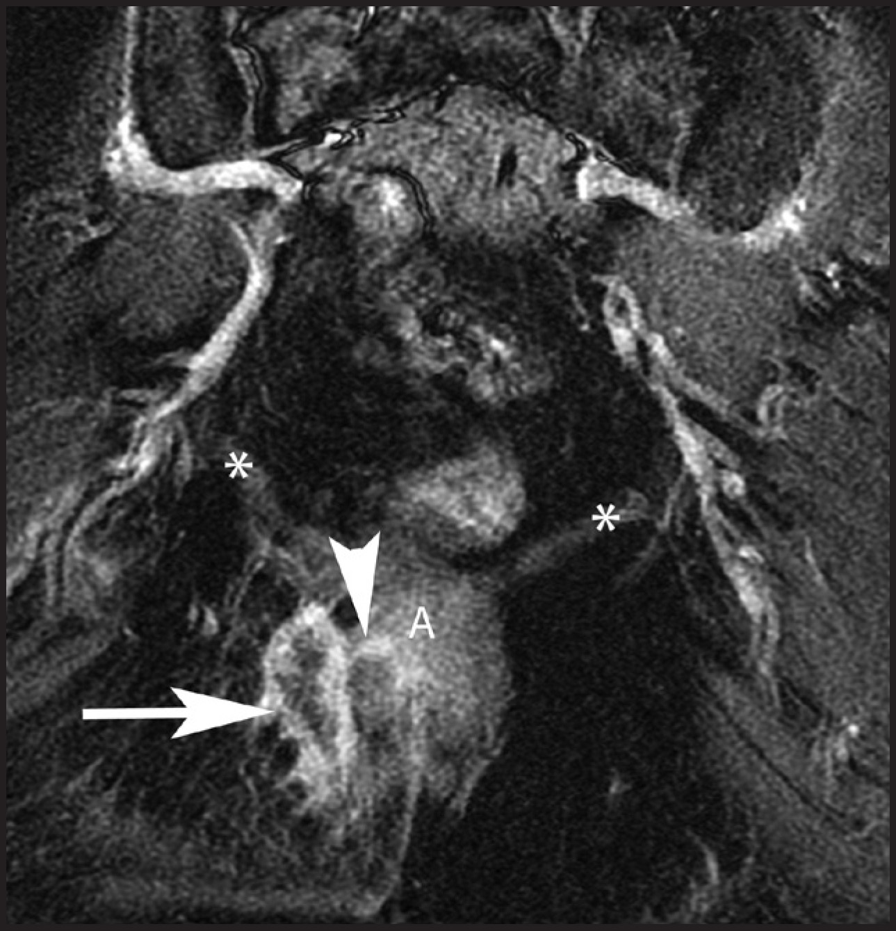 FIGURE 9.