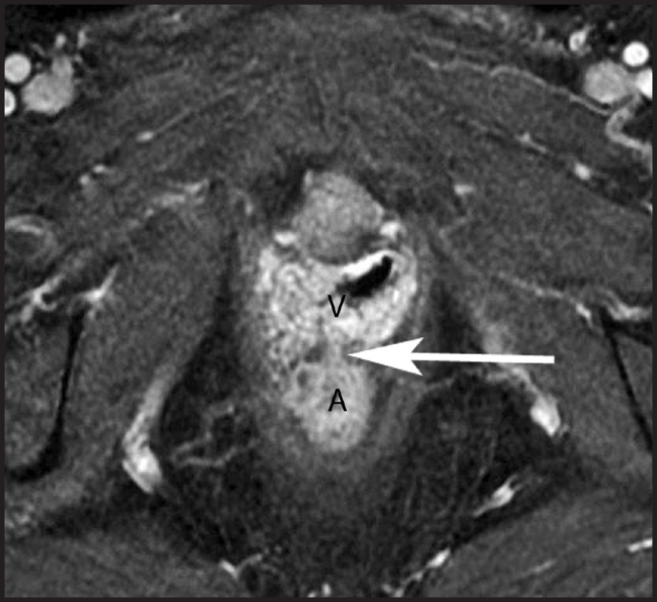 FIGURE 10.