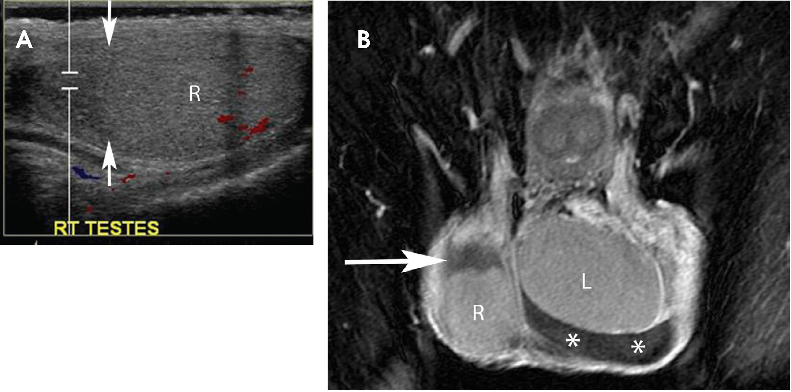 FIGURE 17.