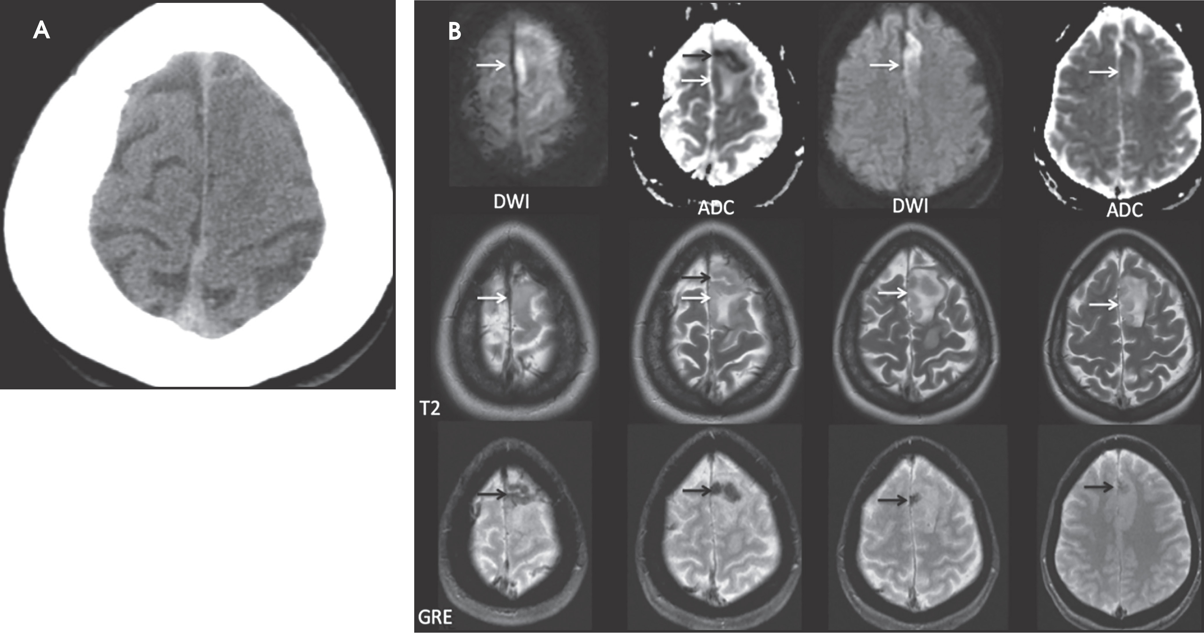 FIGURE 3.
