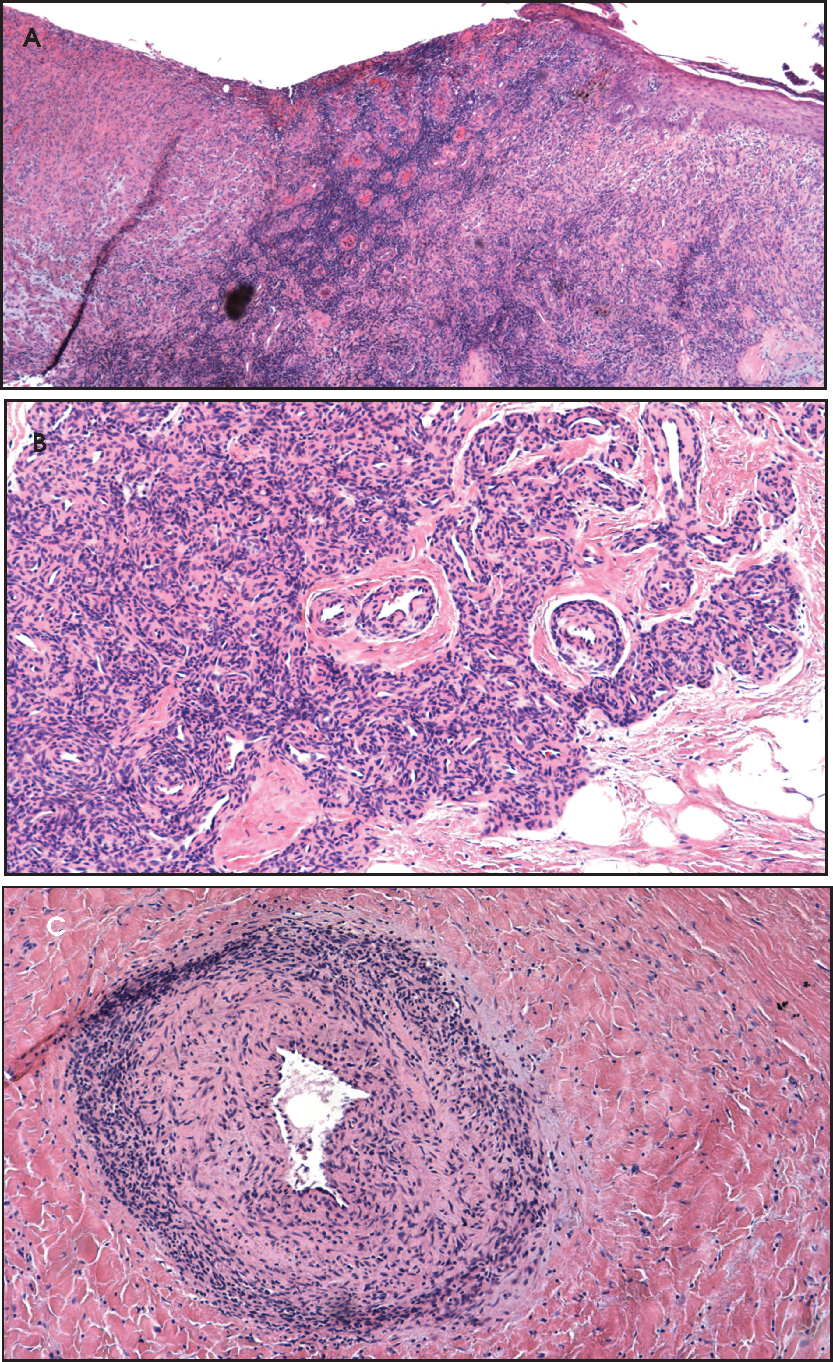 FIGURE 4.