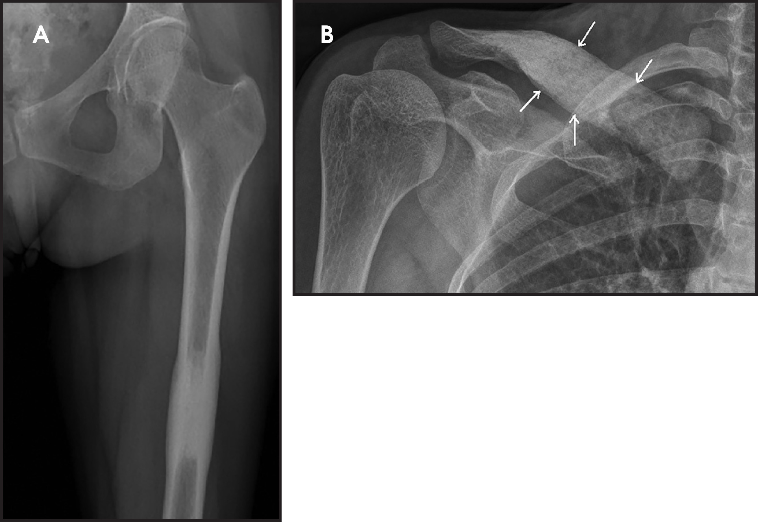 FIGURE 1.