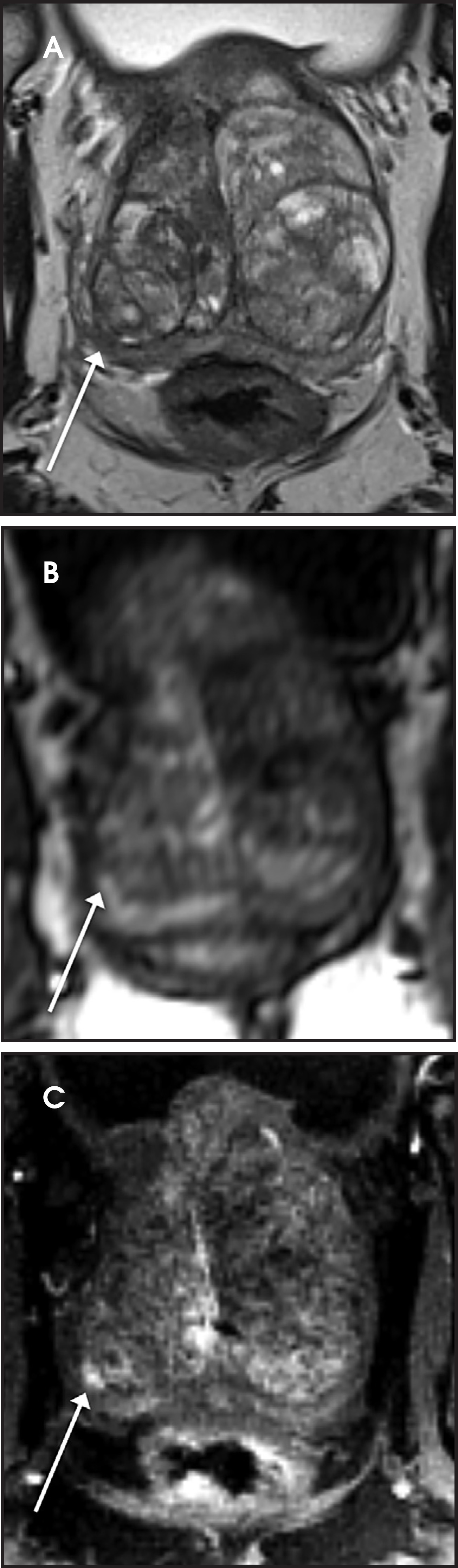 FIGURE 15.