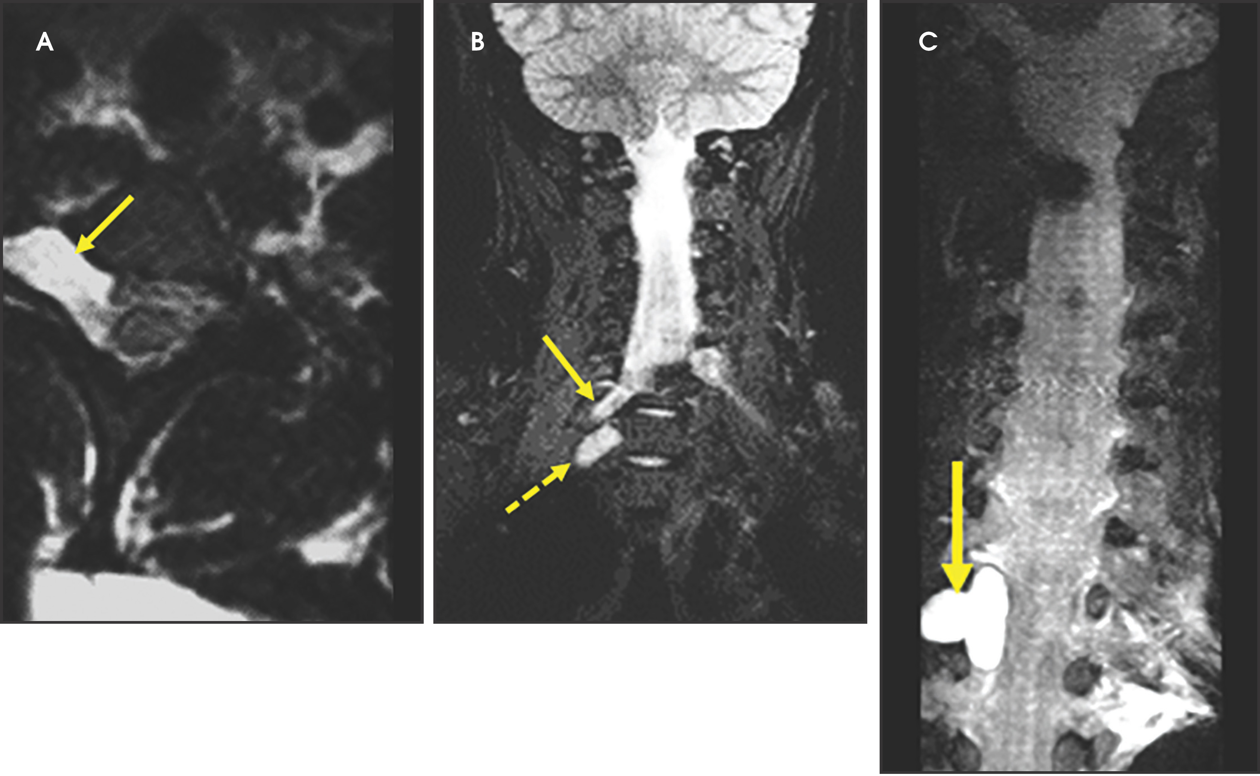 FIGURE 3.