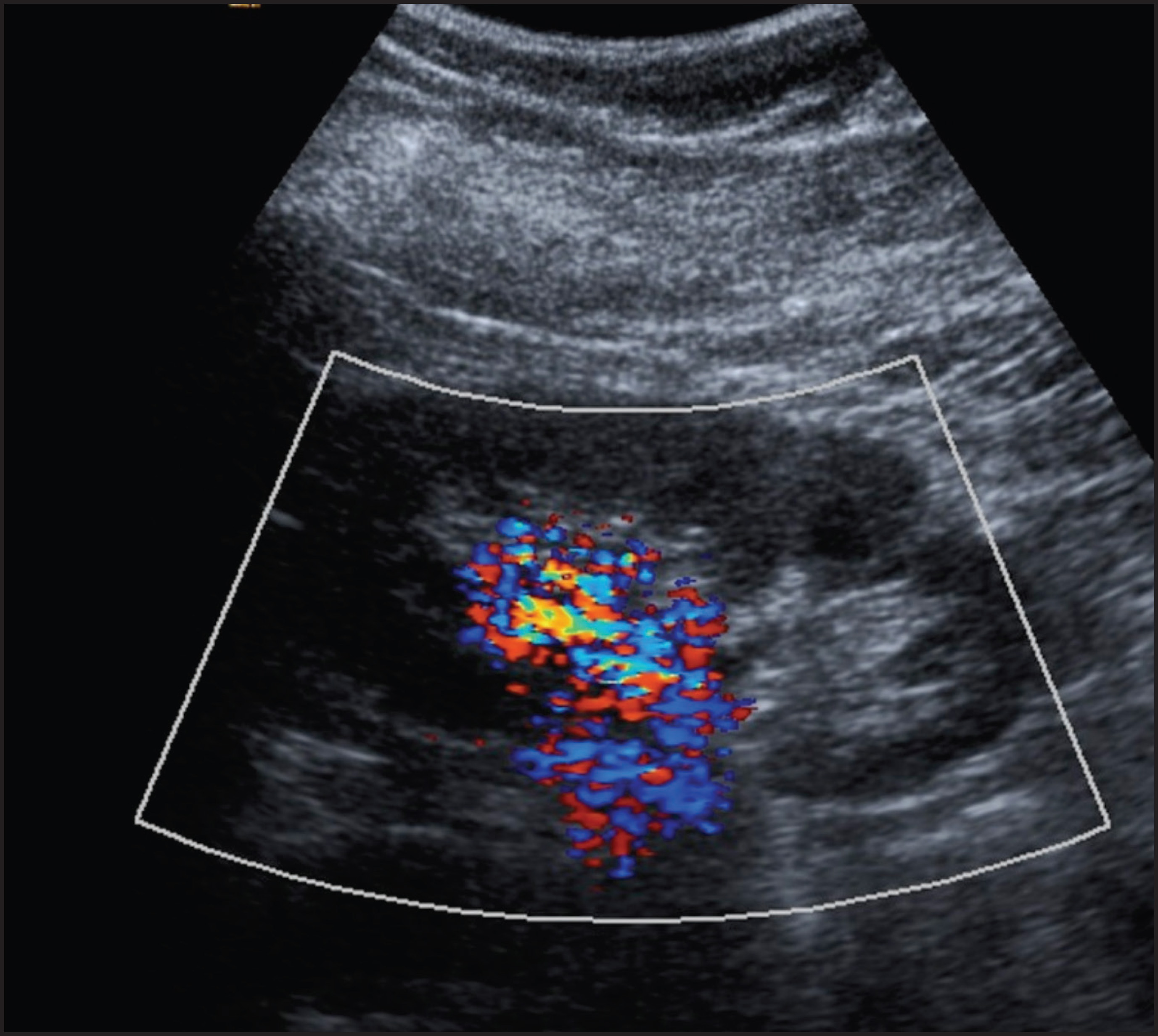 FIGURE 1.