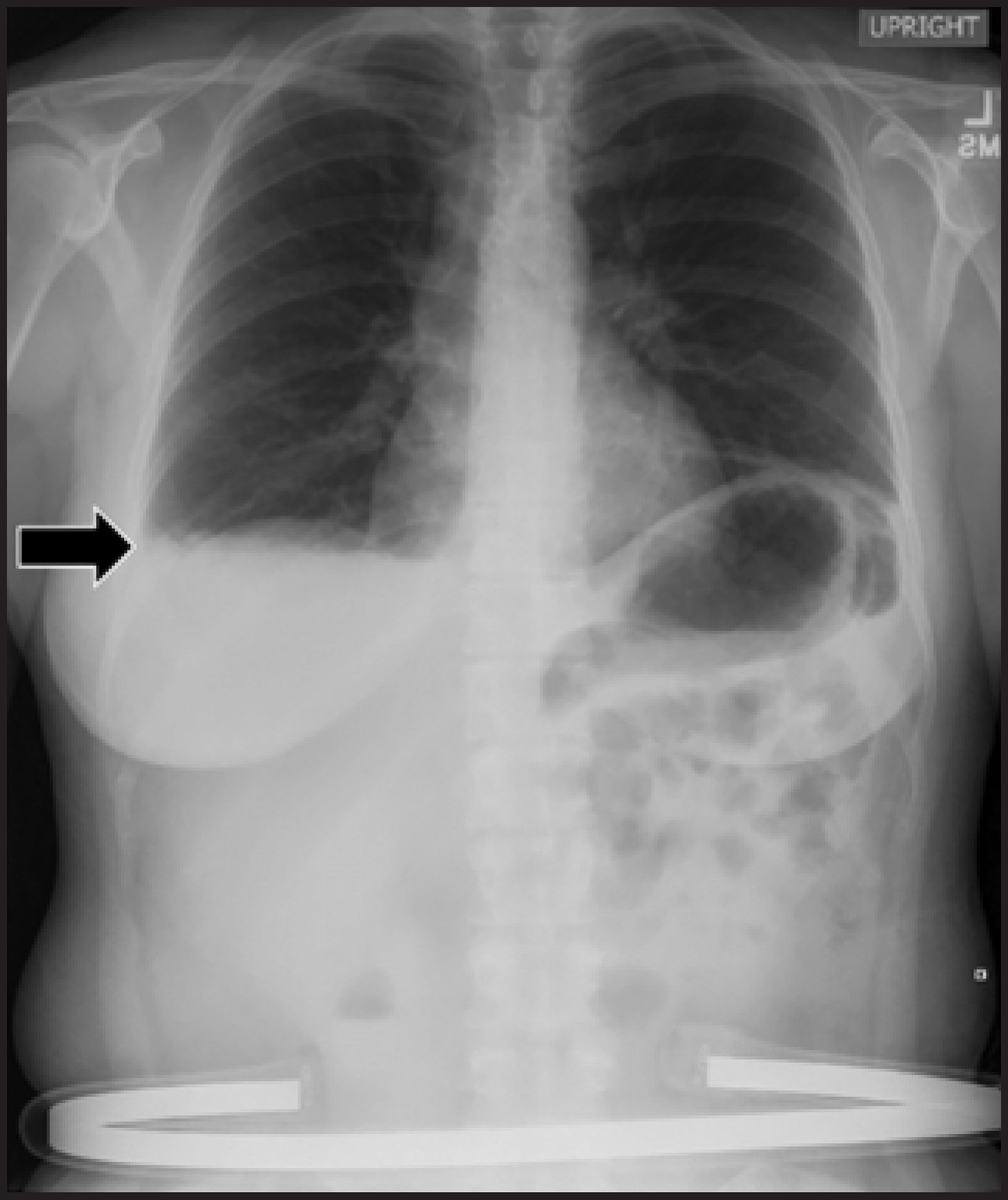FIGURE 1.