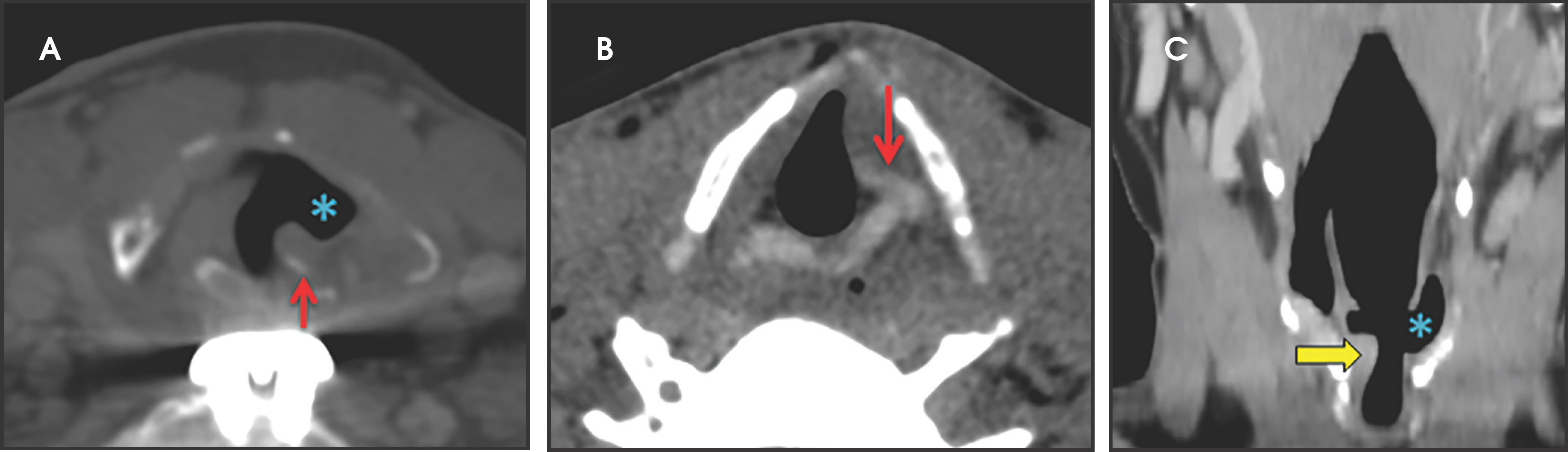 FIGURE 7.