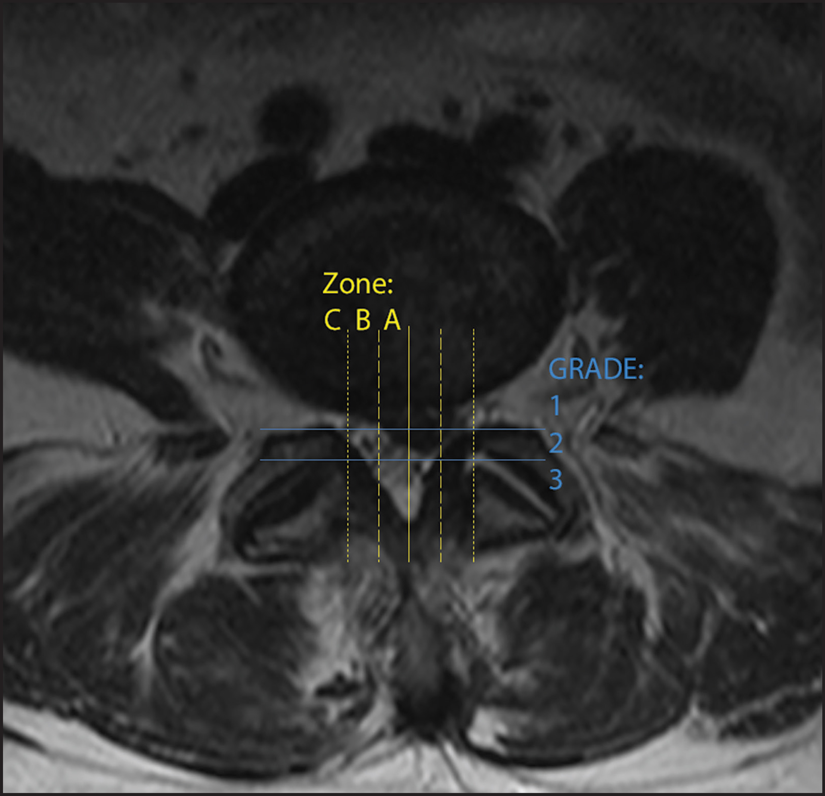 FIGURE 12.