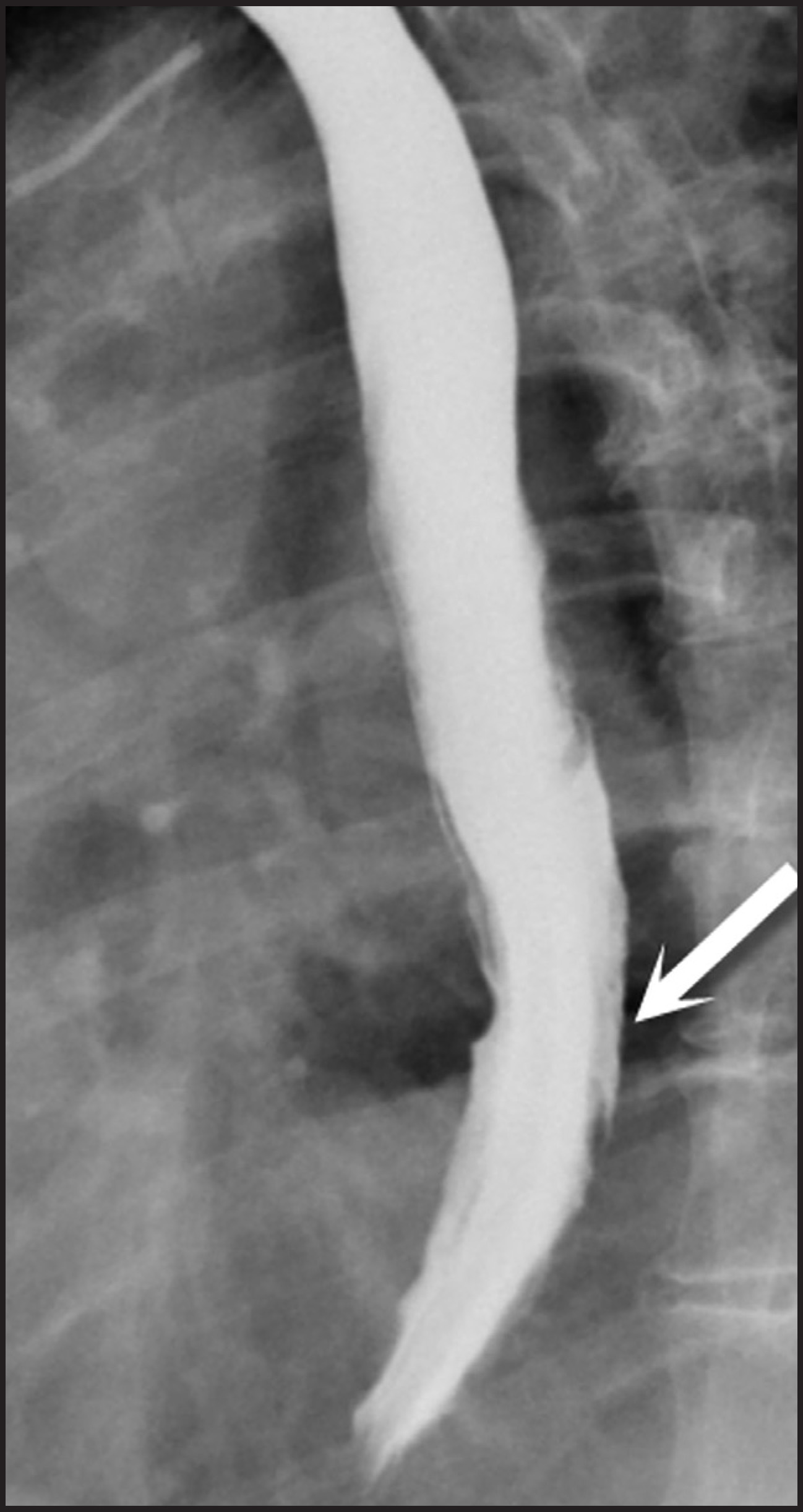 FIGURE 8.