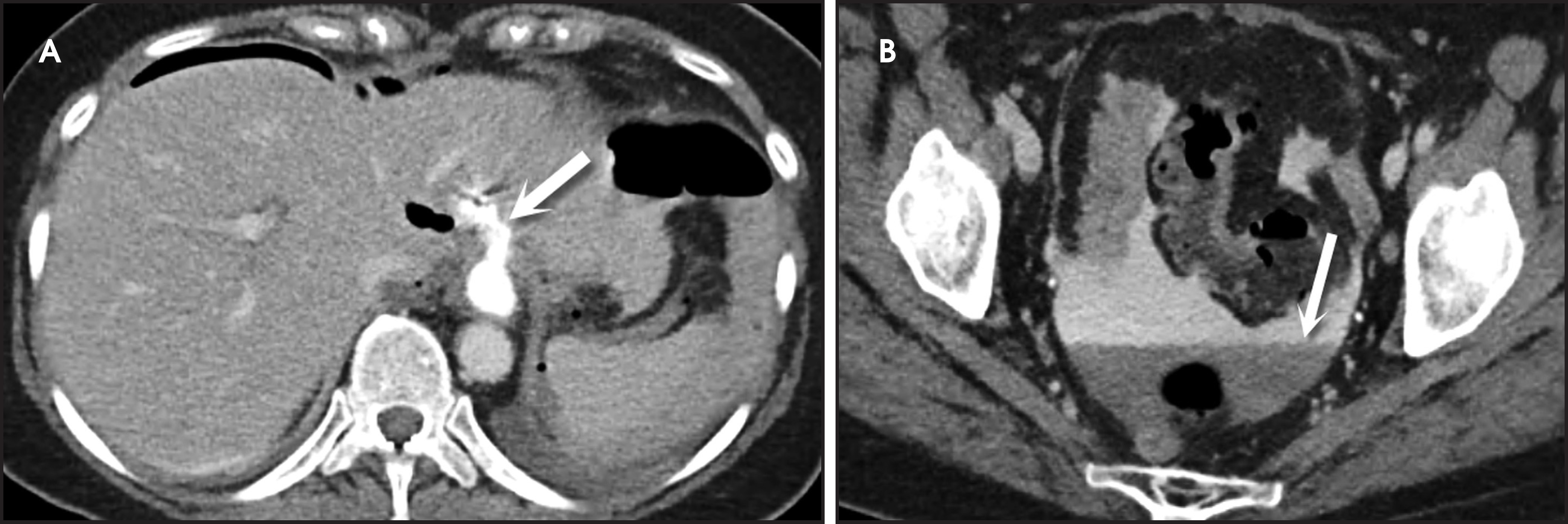 FIGURE 12.
