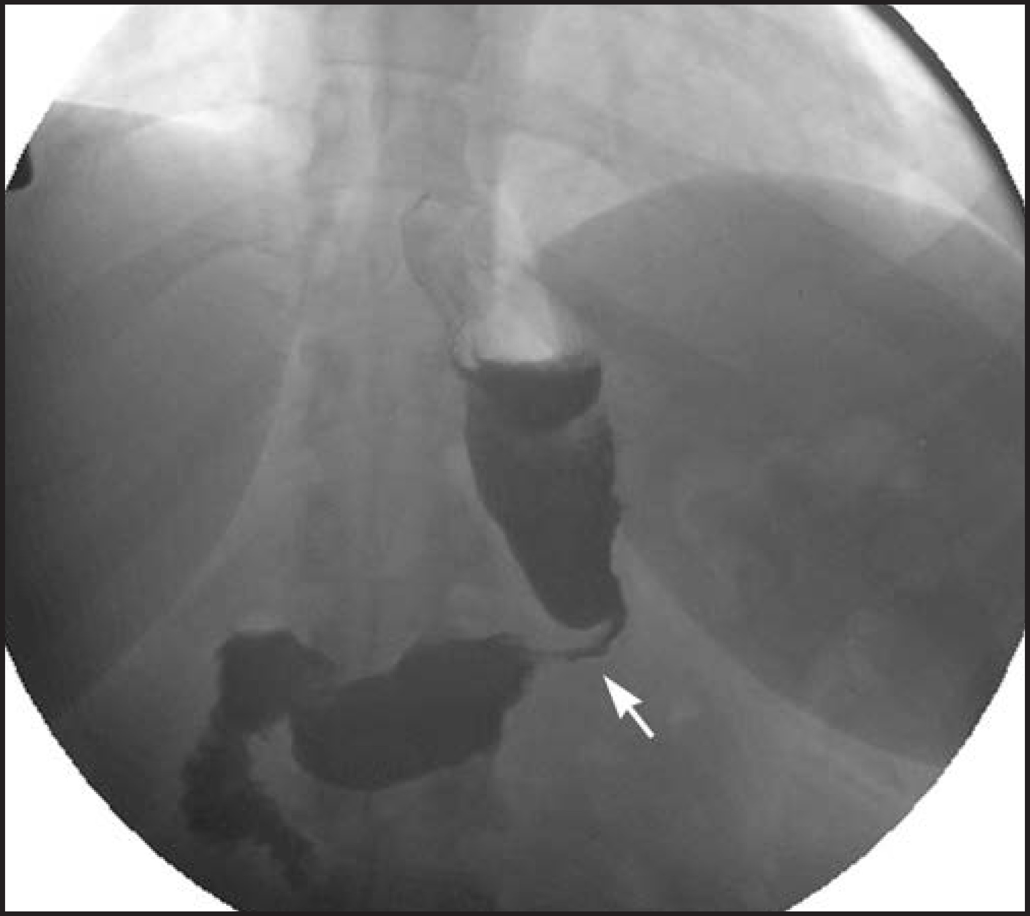 FIGURE 12.