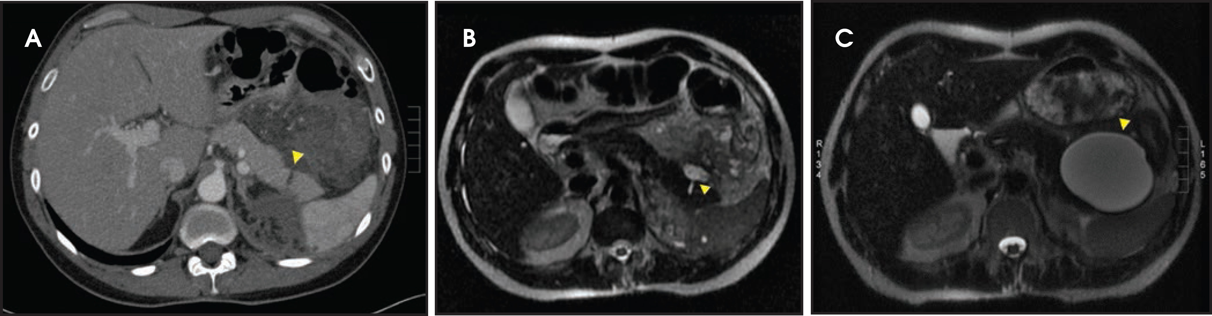 FIGURE 1.