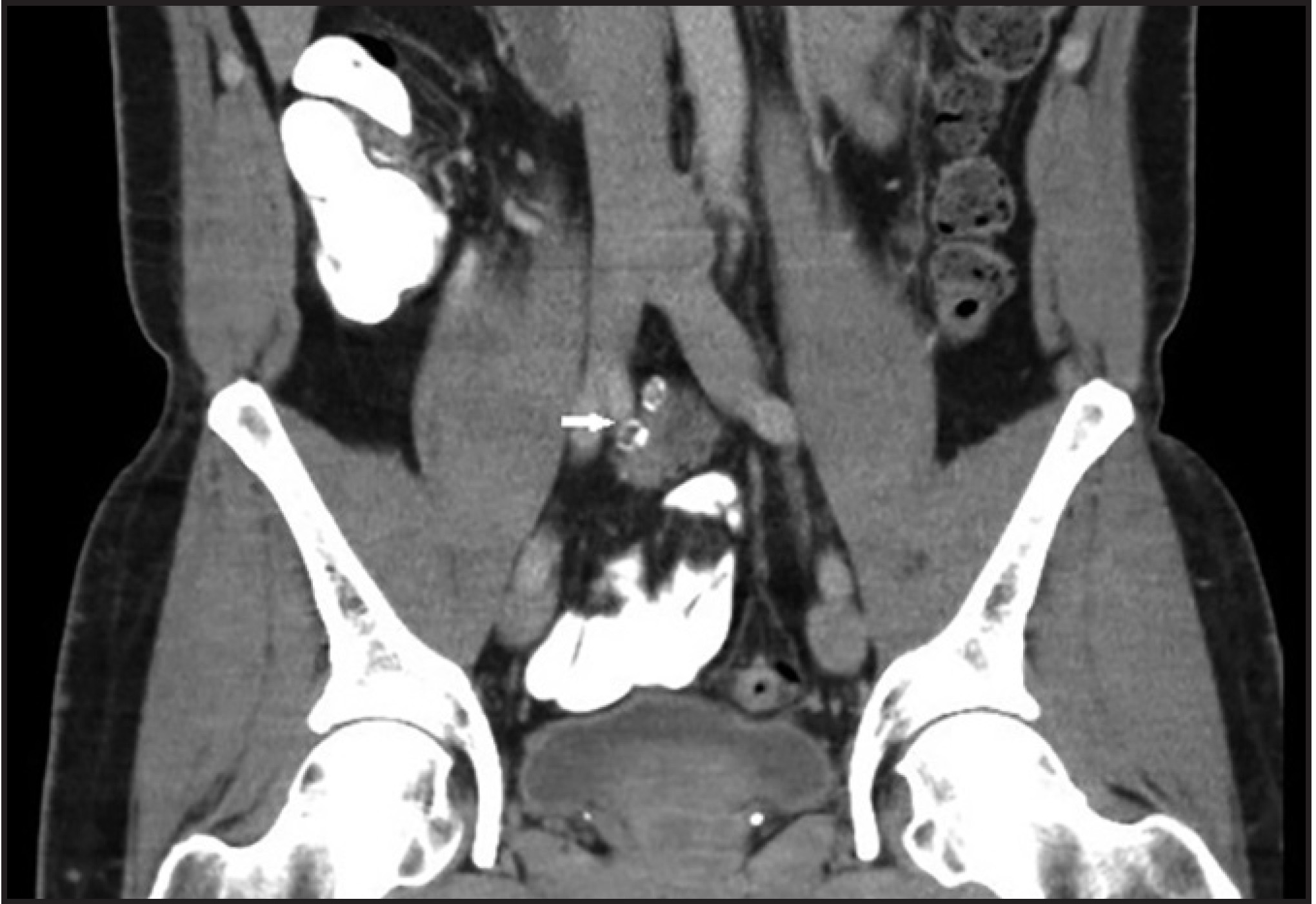 FIGURE 1.