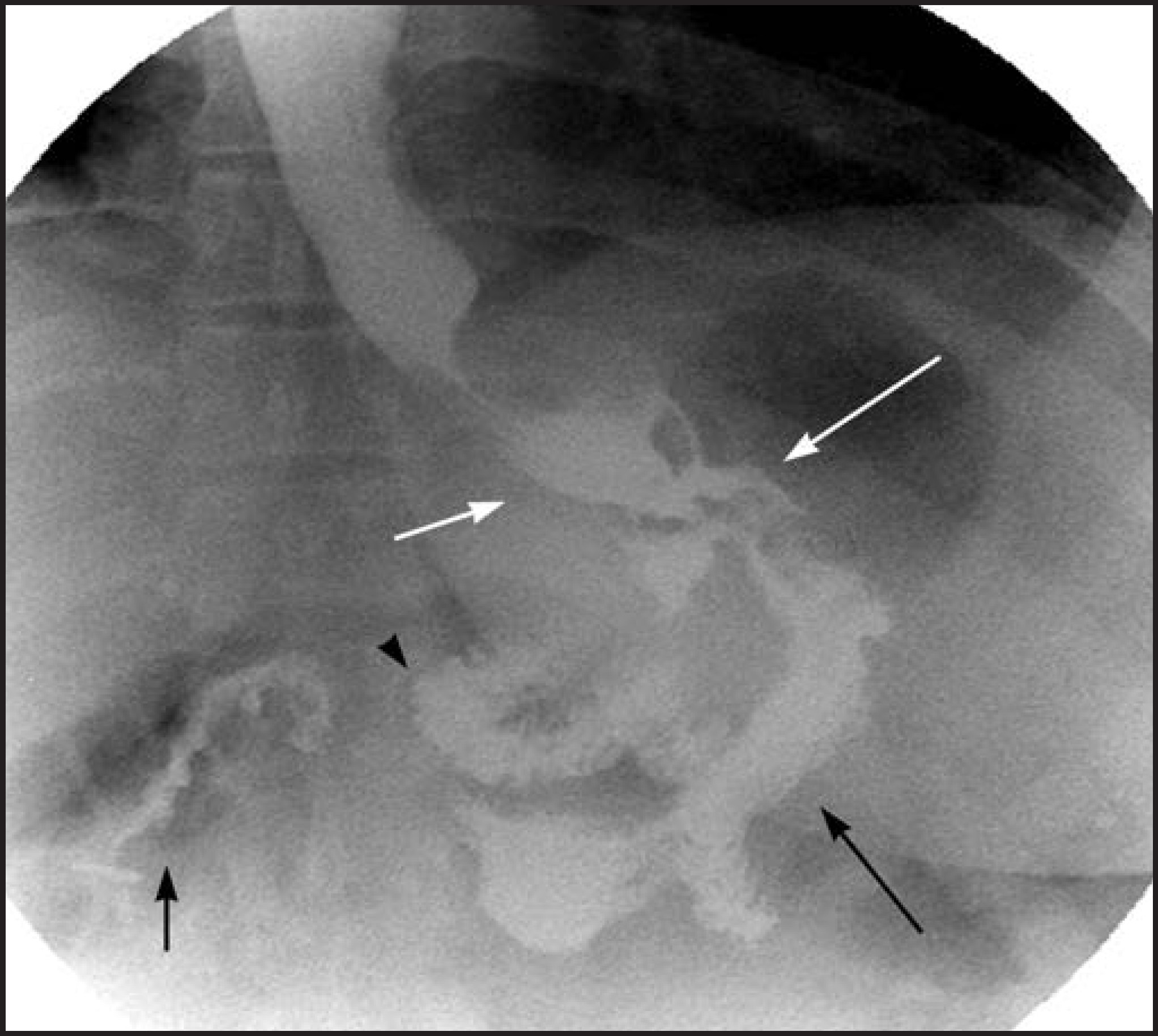 FIGURE 4.