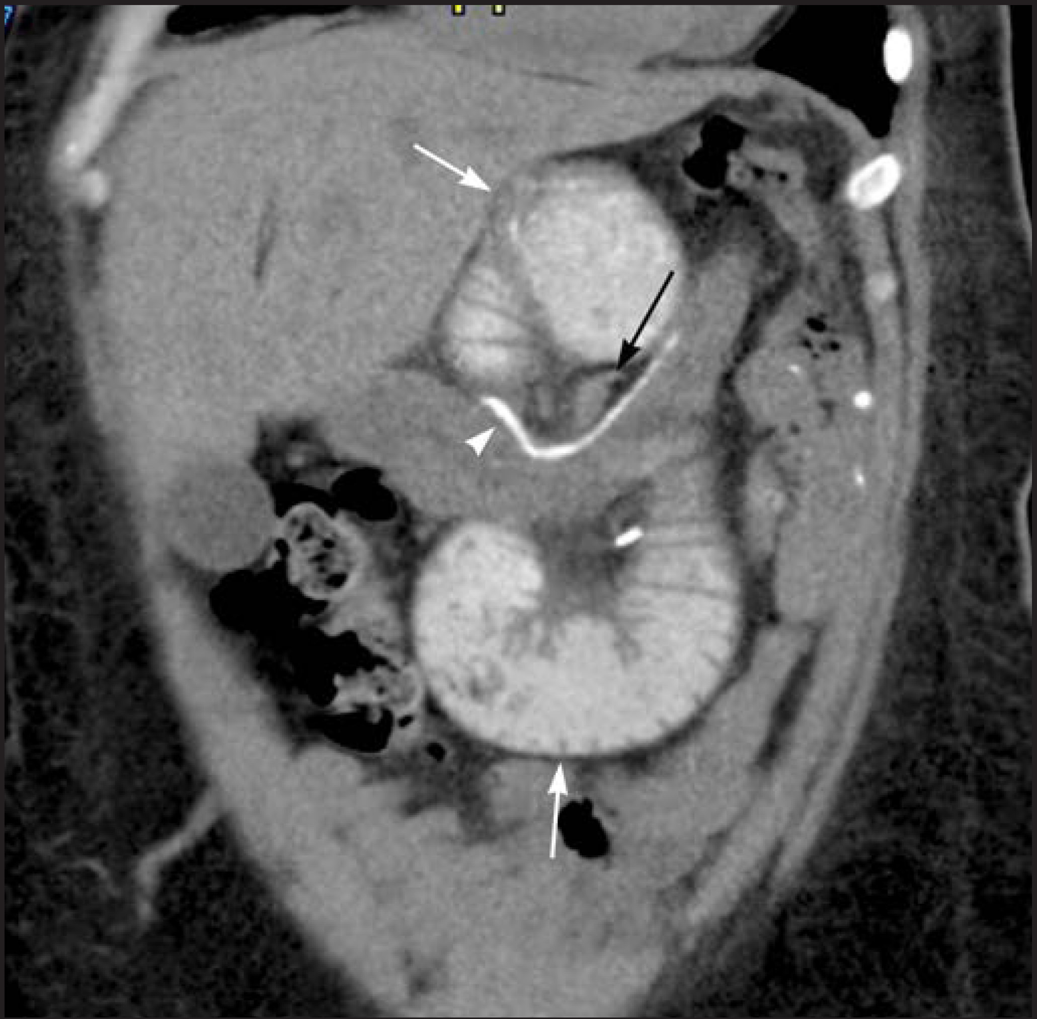 FIGURE 10.