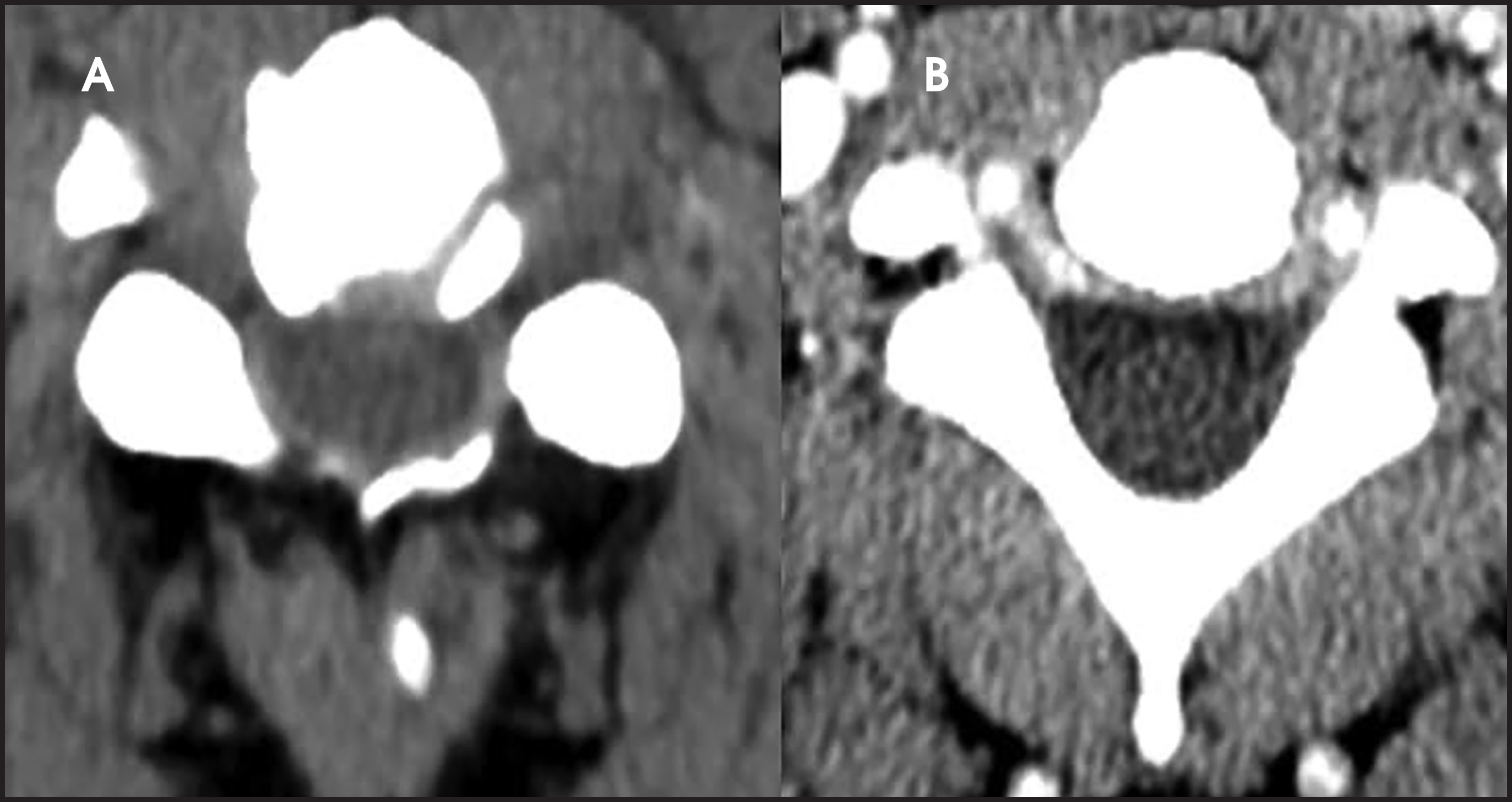 FIGURE 10.