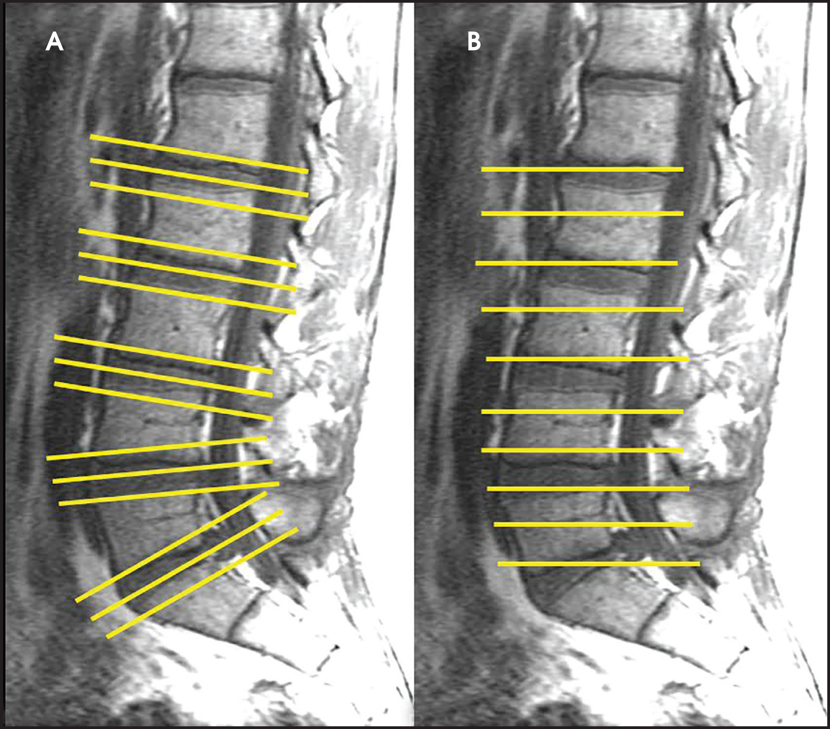 FIGURE 12.