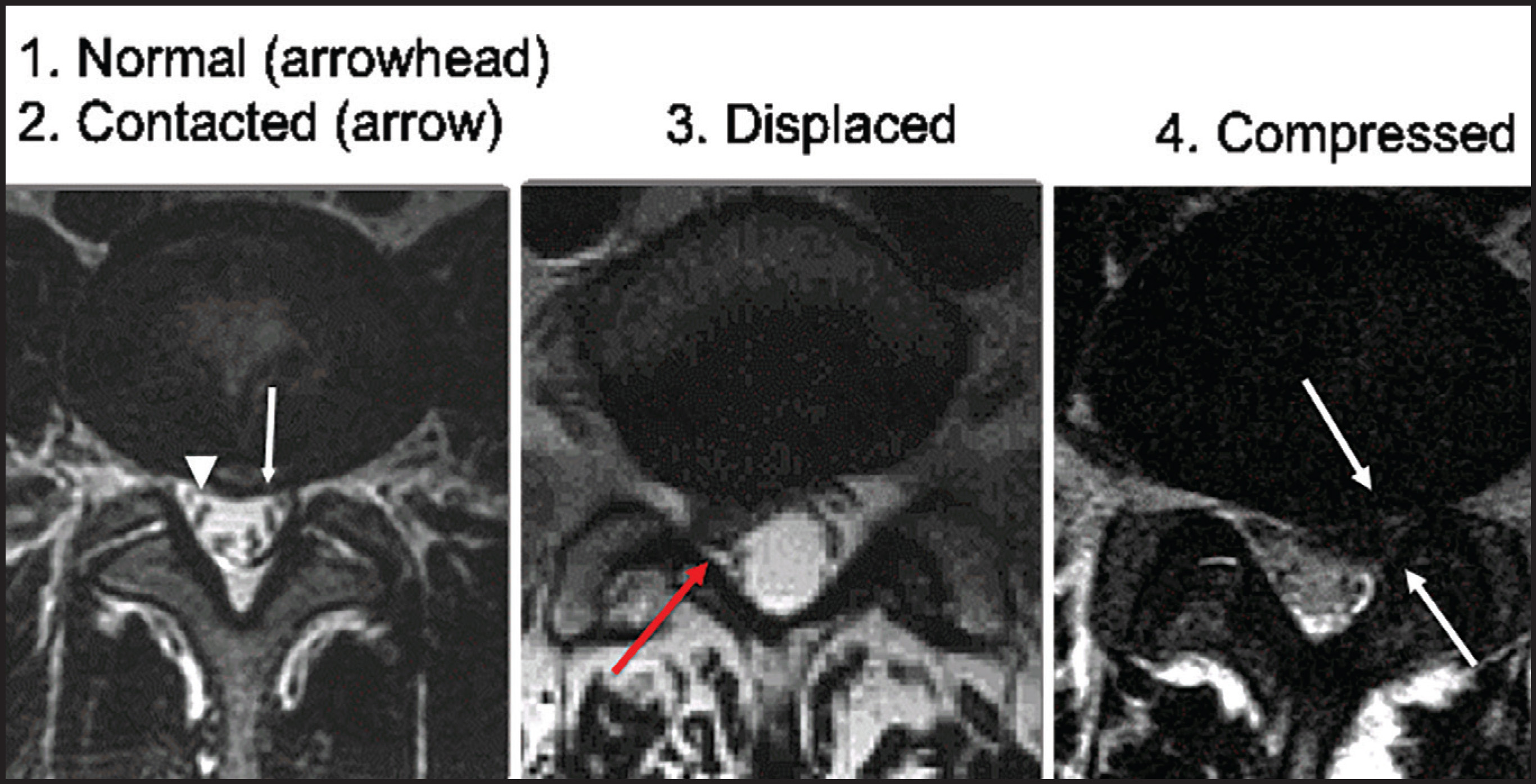 FIGURE 18.