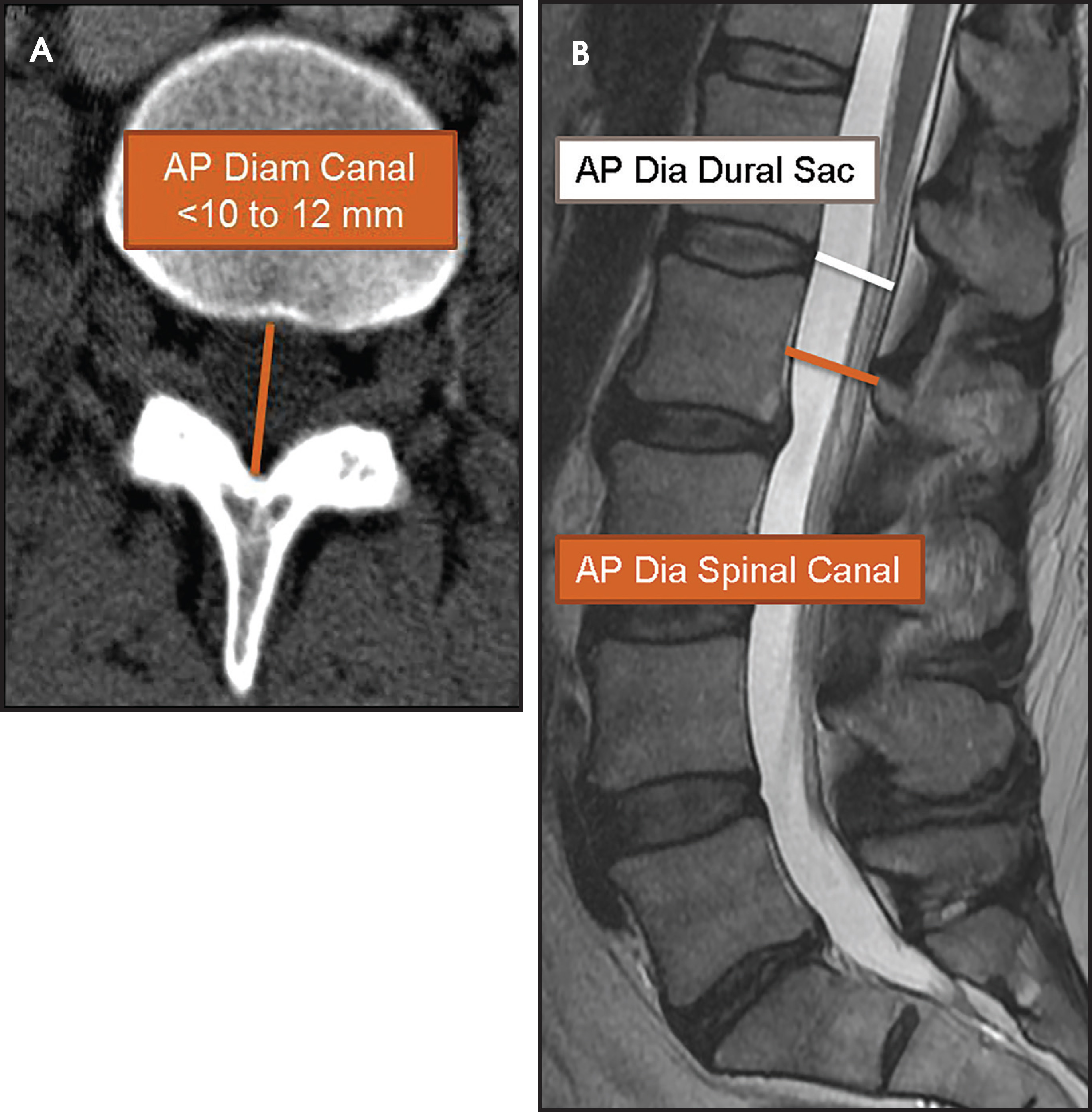 FIGURE 19.