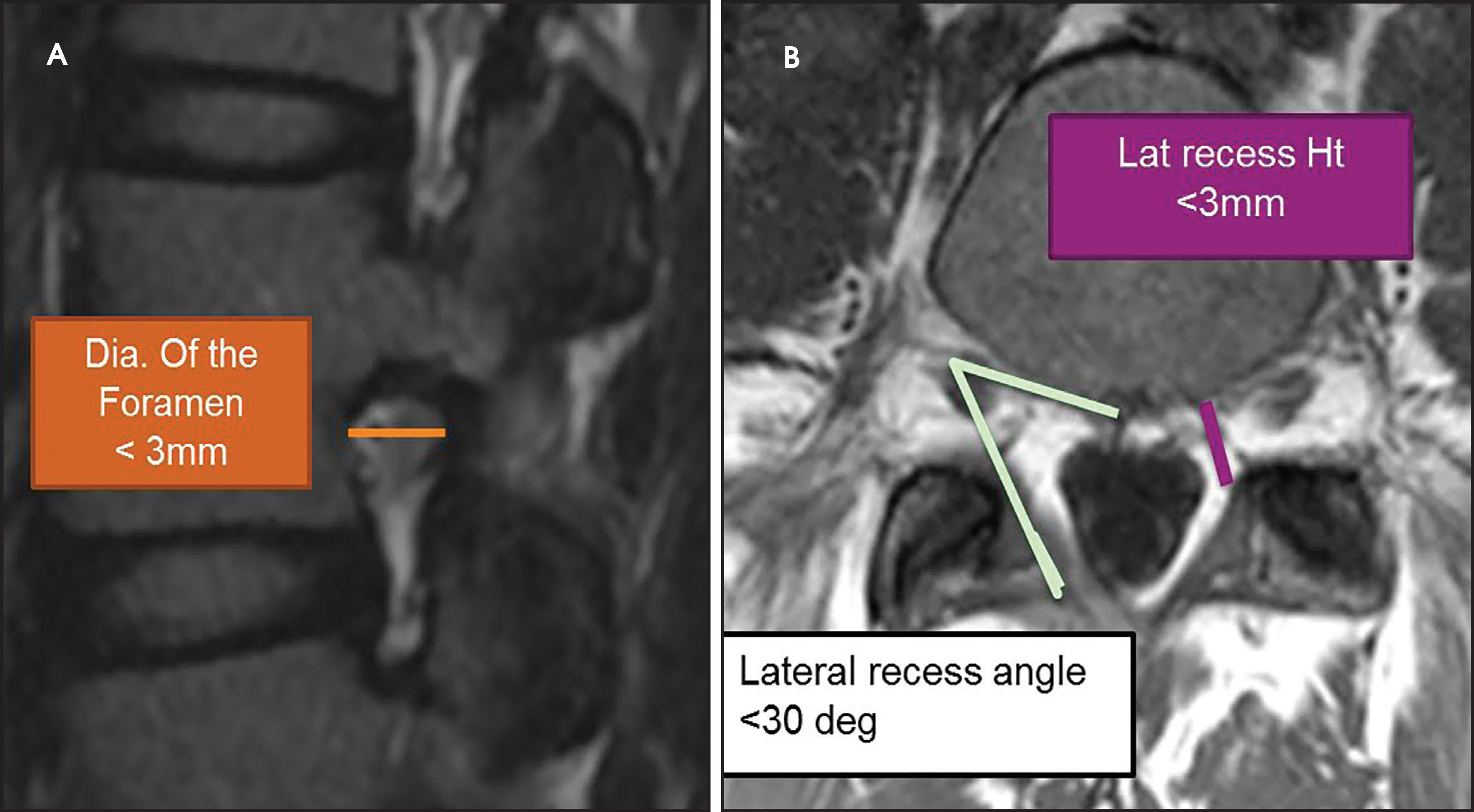 FIGURE 20.