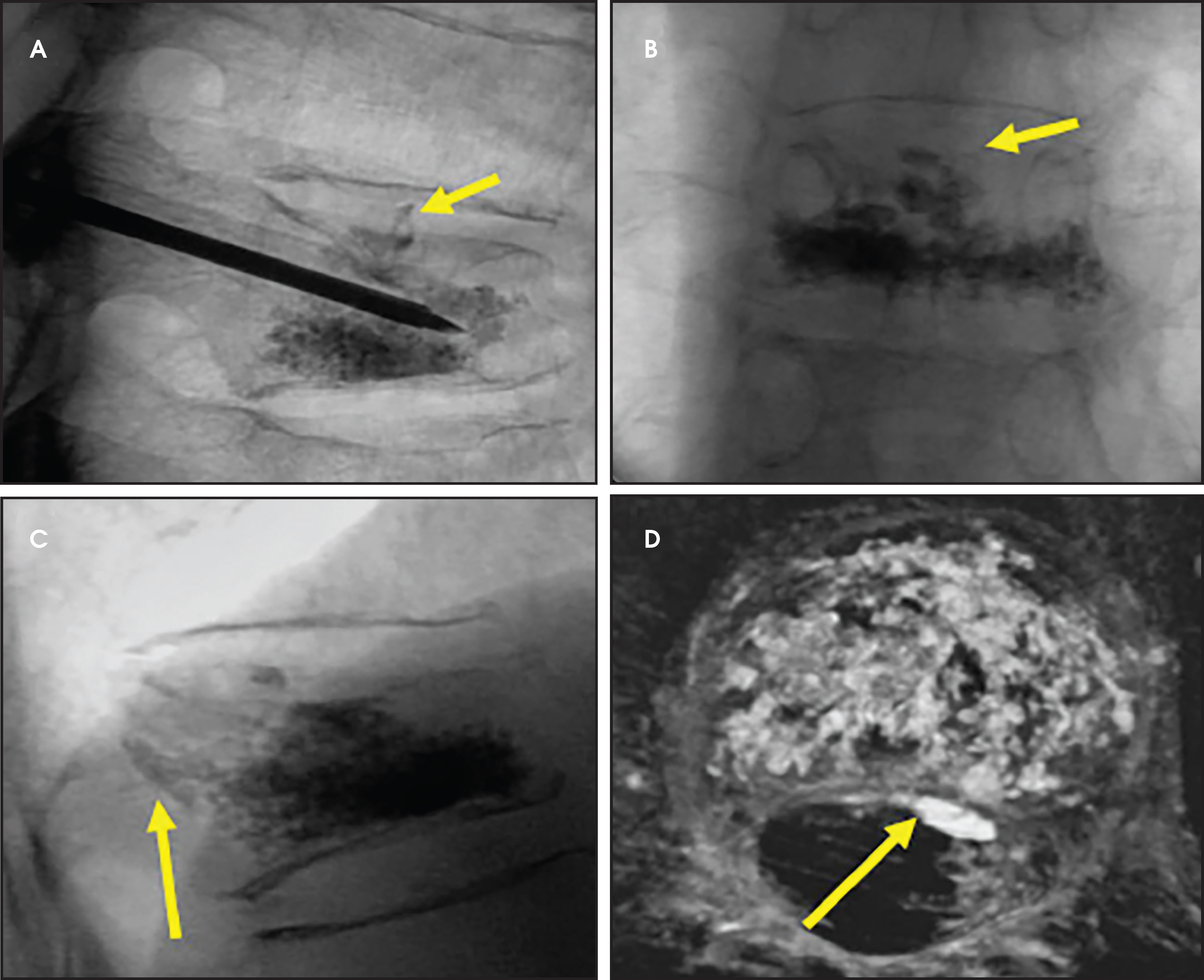 FIGURE 12.