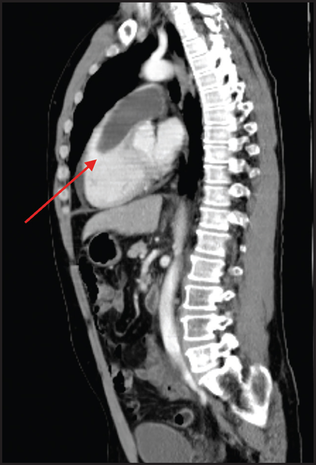 FIGURE 1.