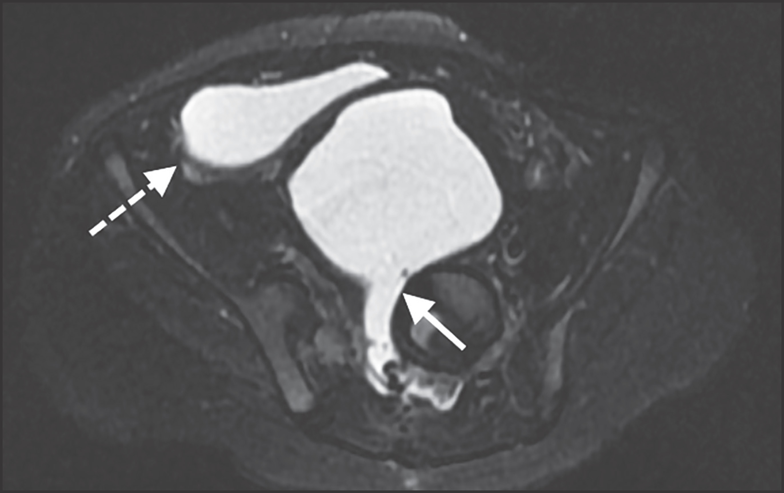 FIGURE 1.