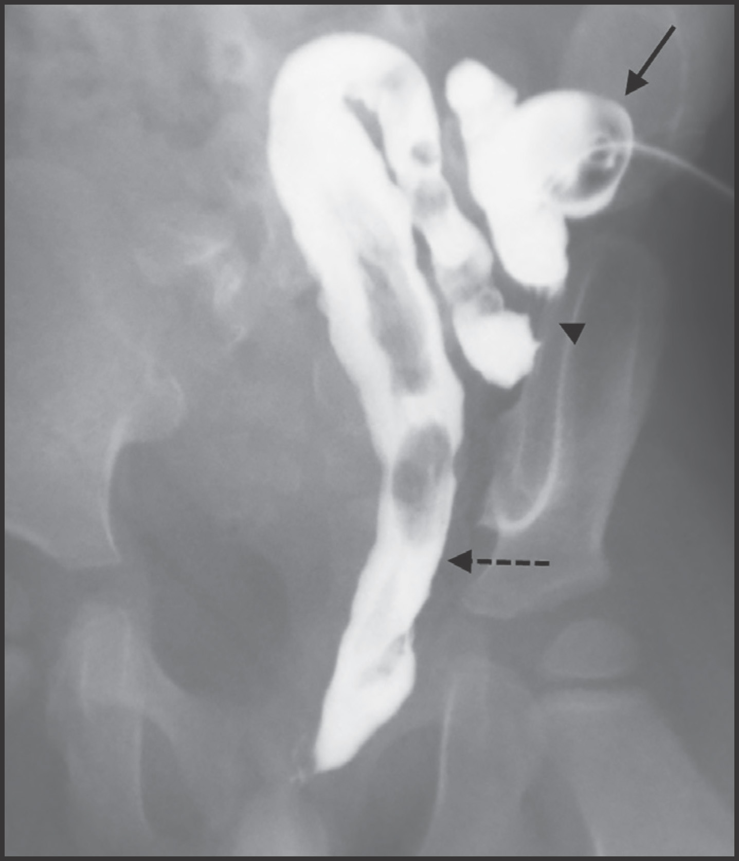 FIGURE 4.