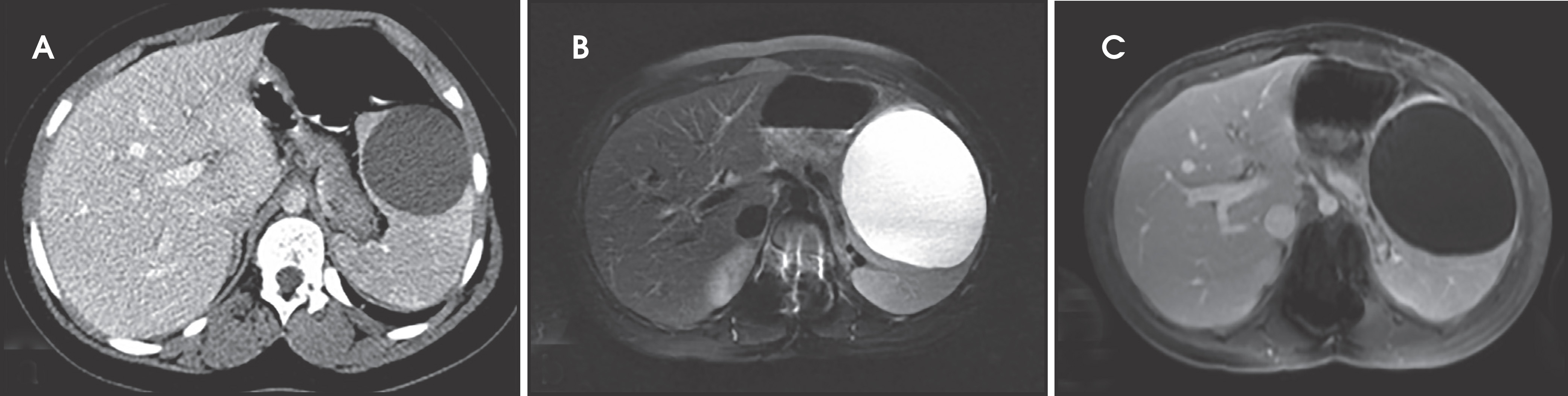 FIGURE 2.