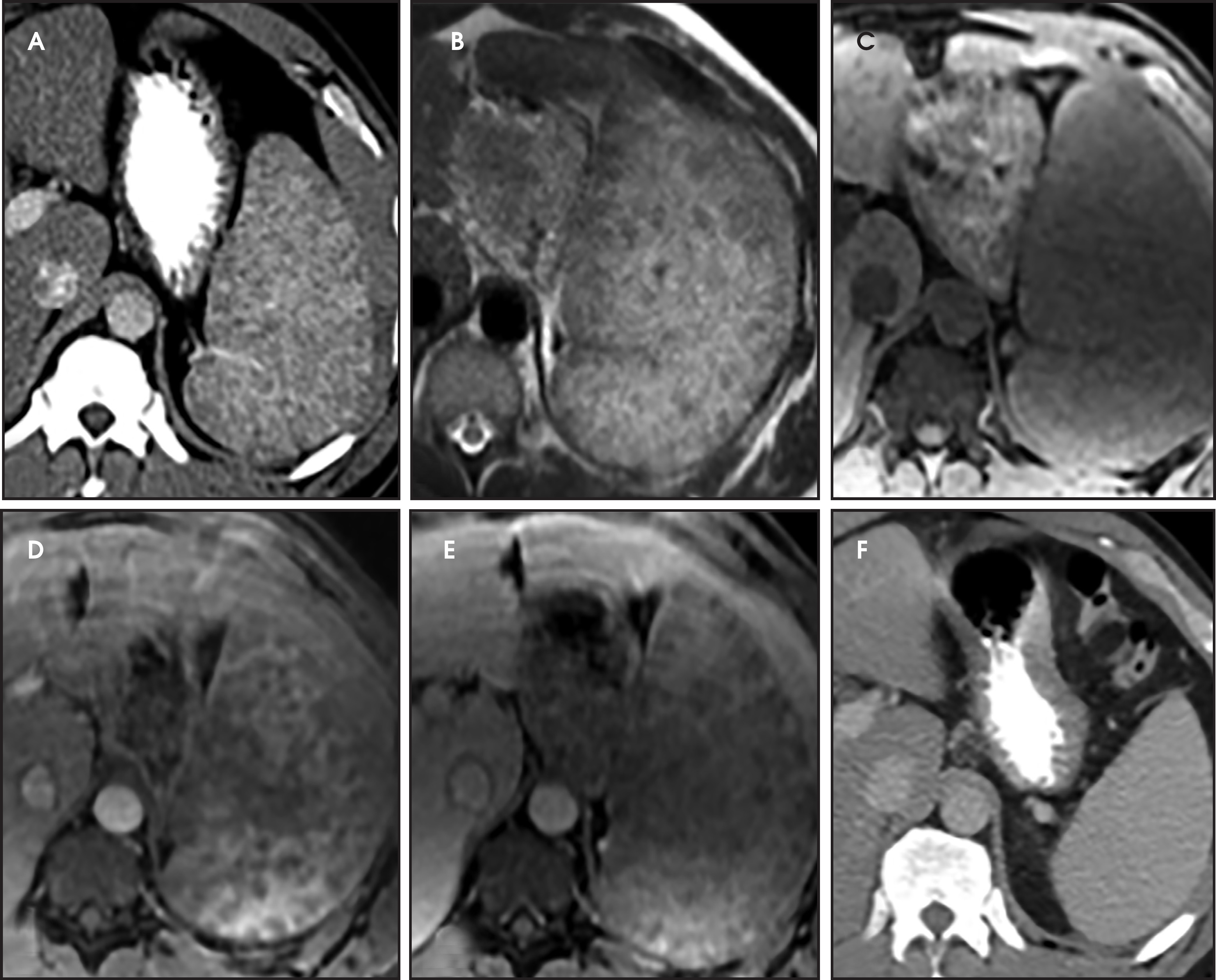 FIGURE 25.