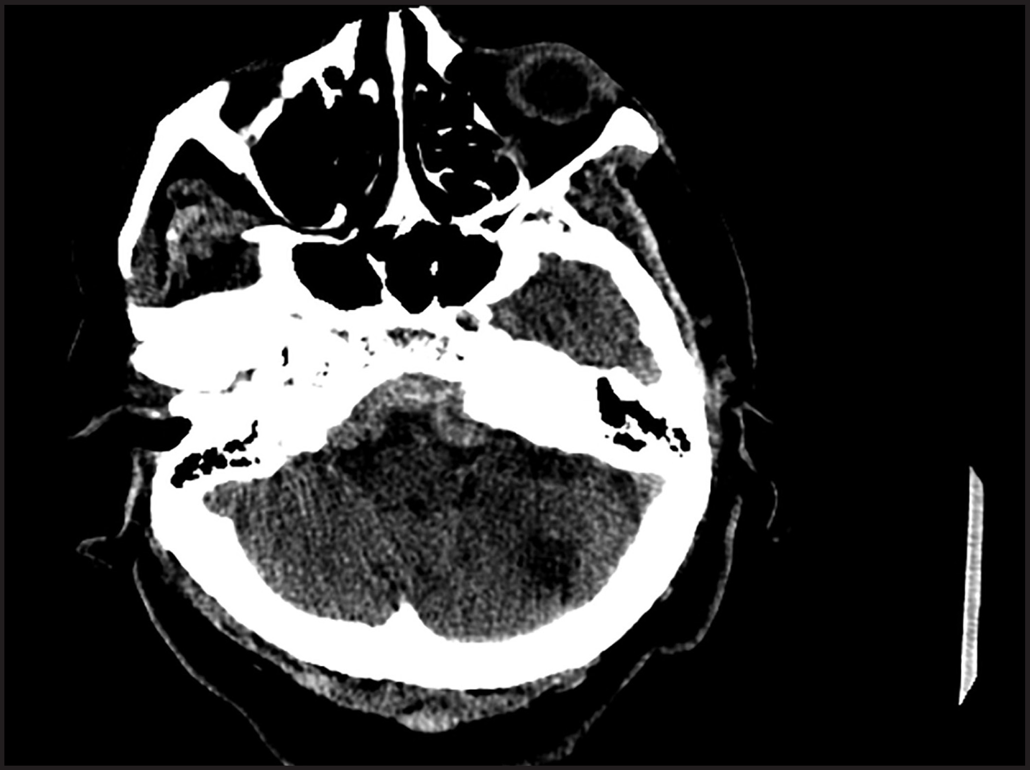 FIGURE 1.