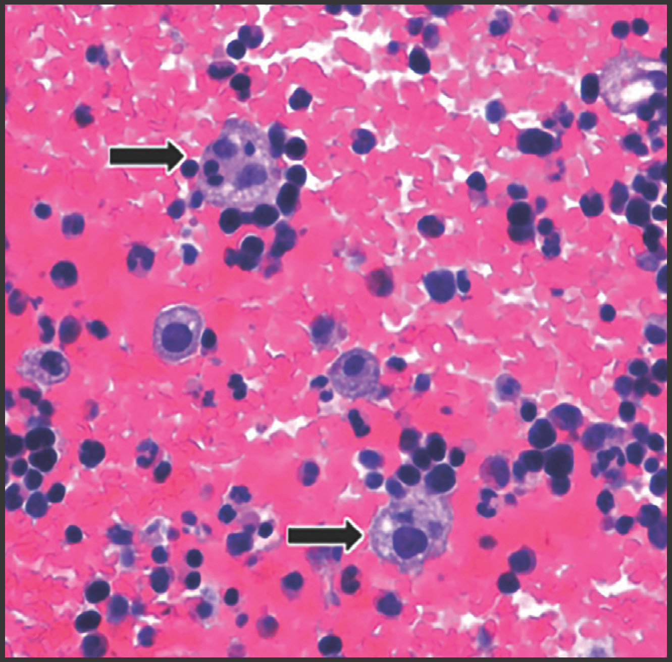 FIGURE 9.