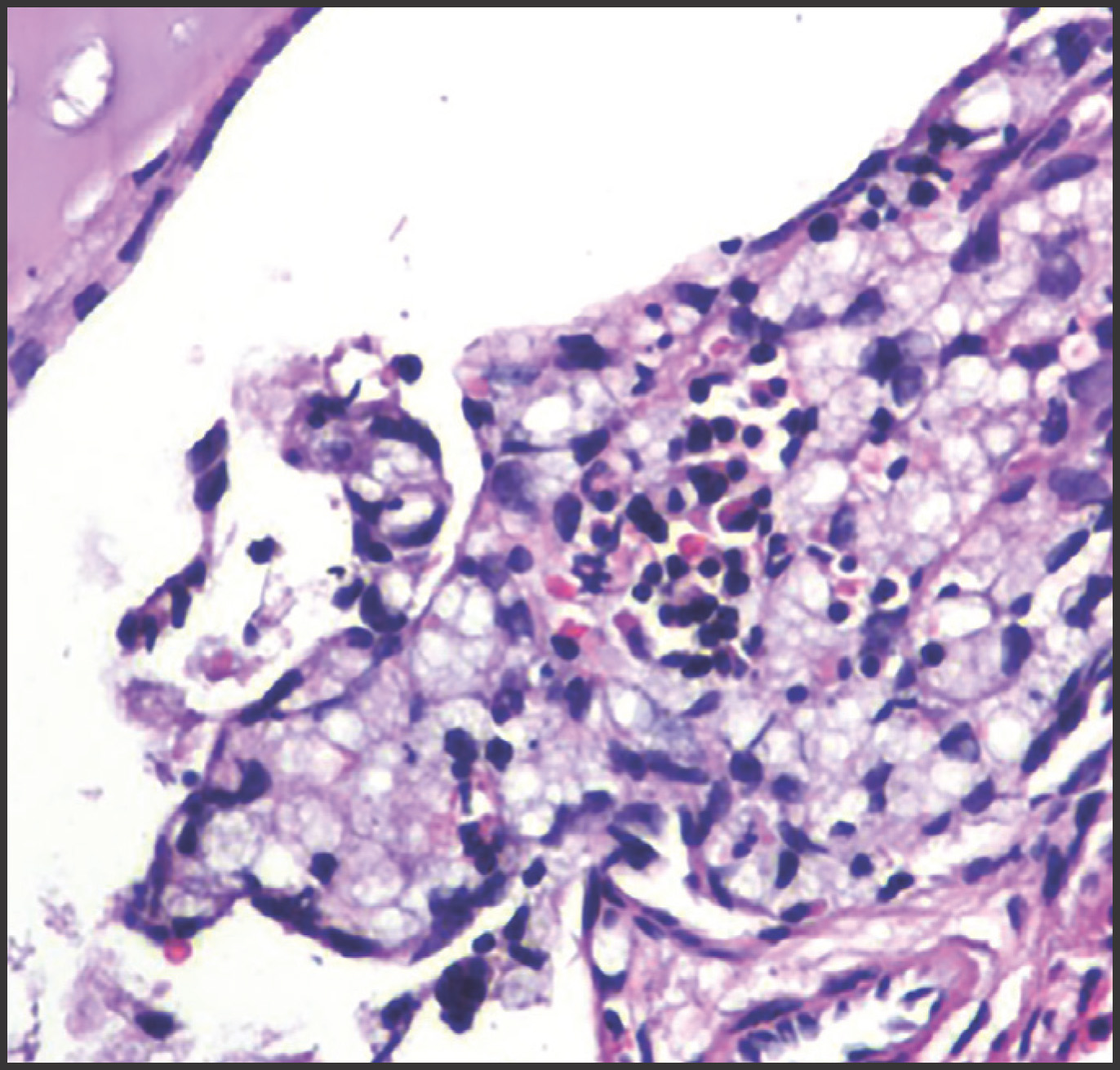 FIGURE 10.