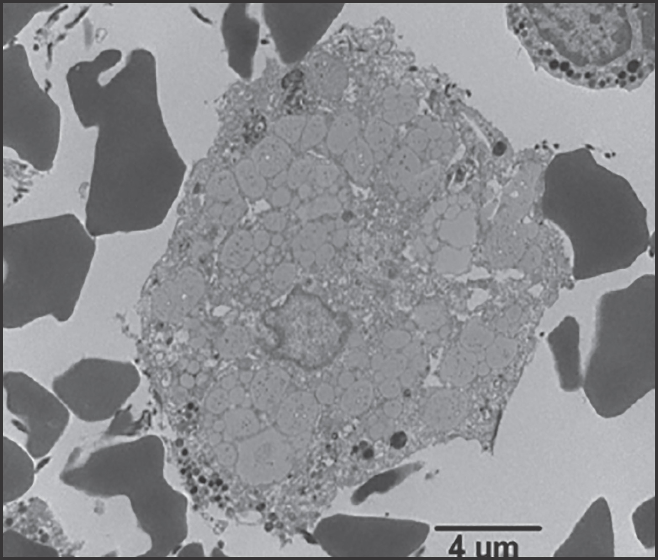 FIGURE 12.