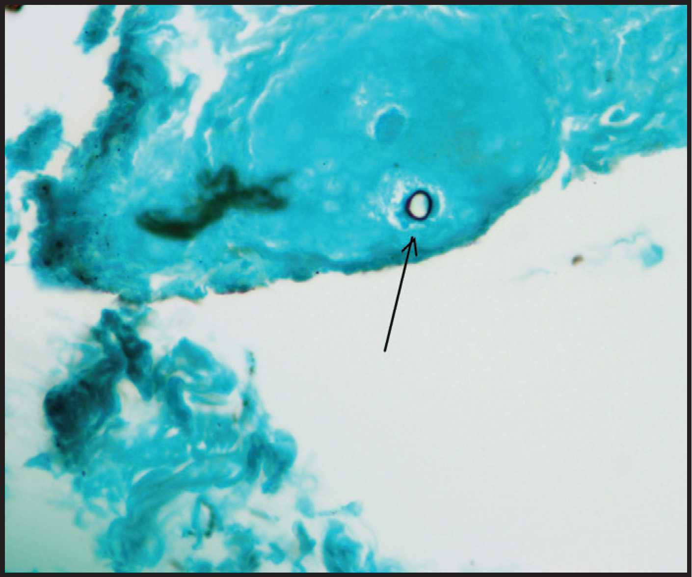 FIGURE 7: