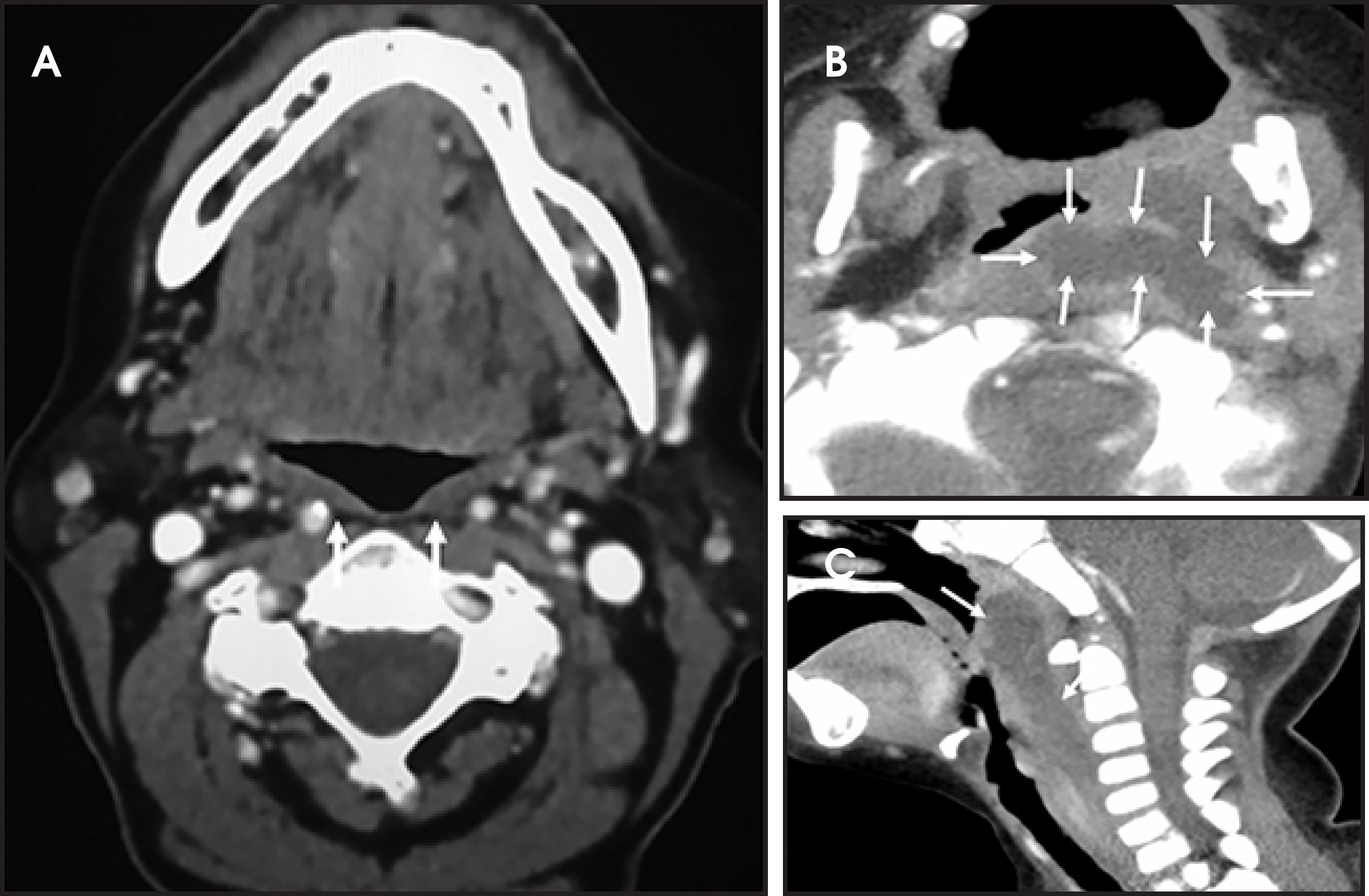 FIGURE 3.