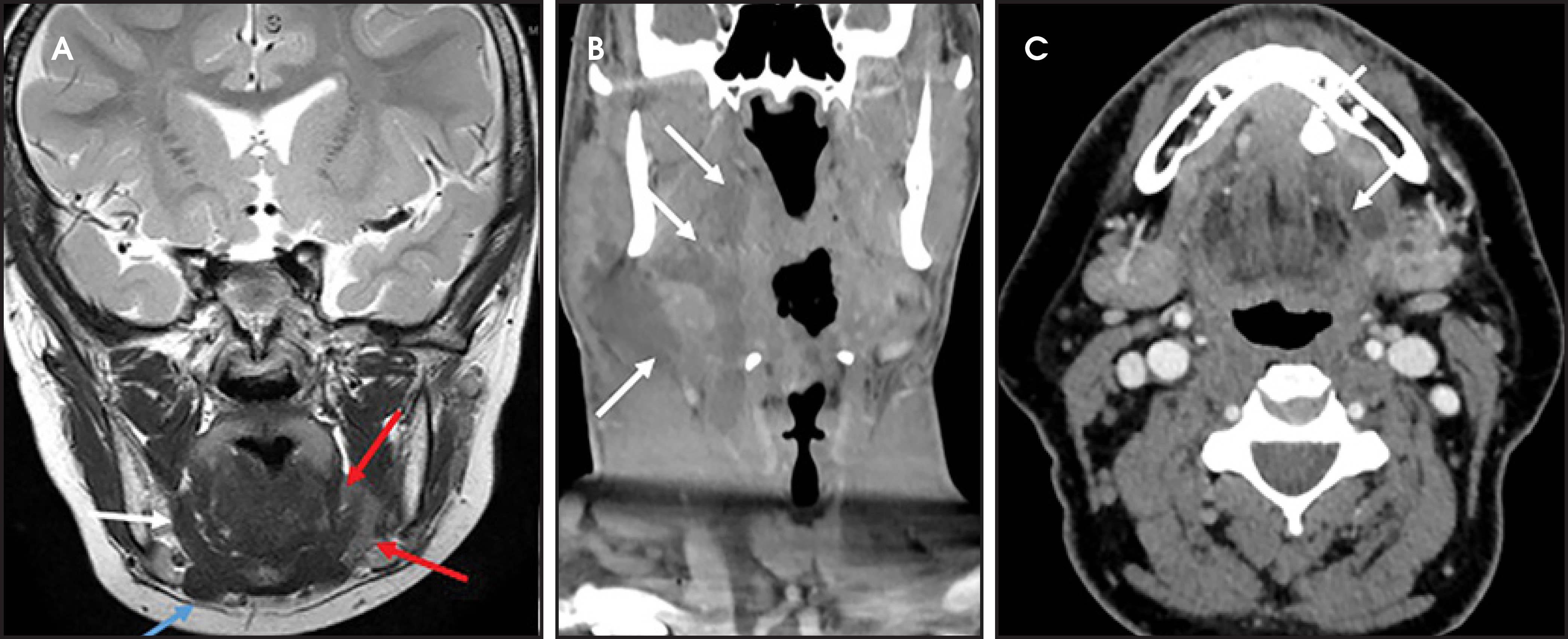 FIGURE 15.