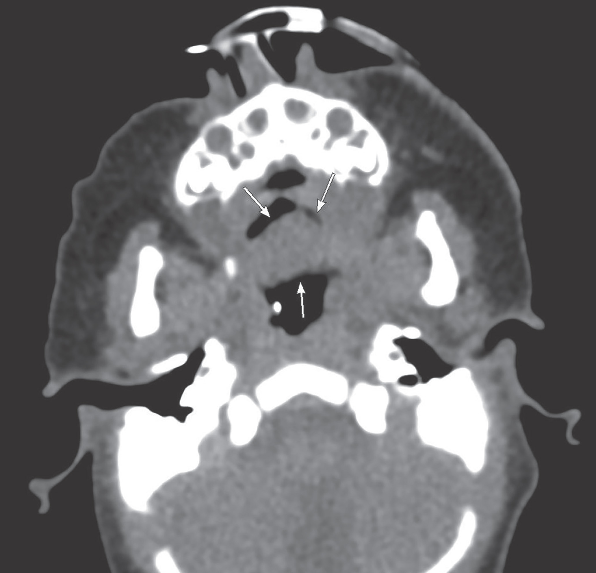 FIGURE 3.