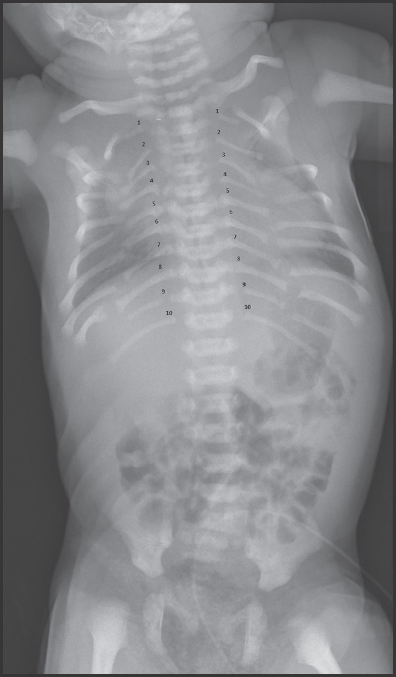 FIGURE 4.