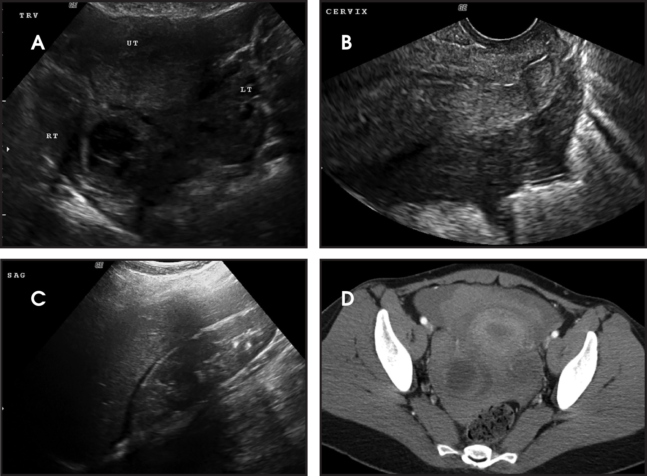 FIGURE 3.