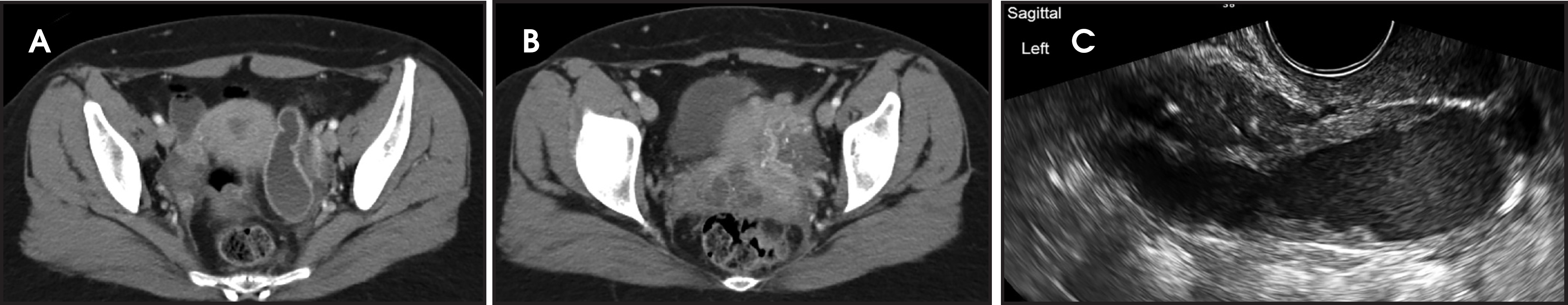 FIGURE 6.