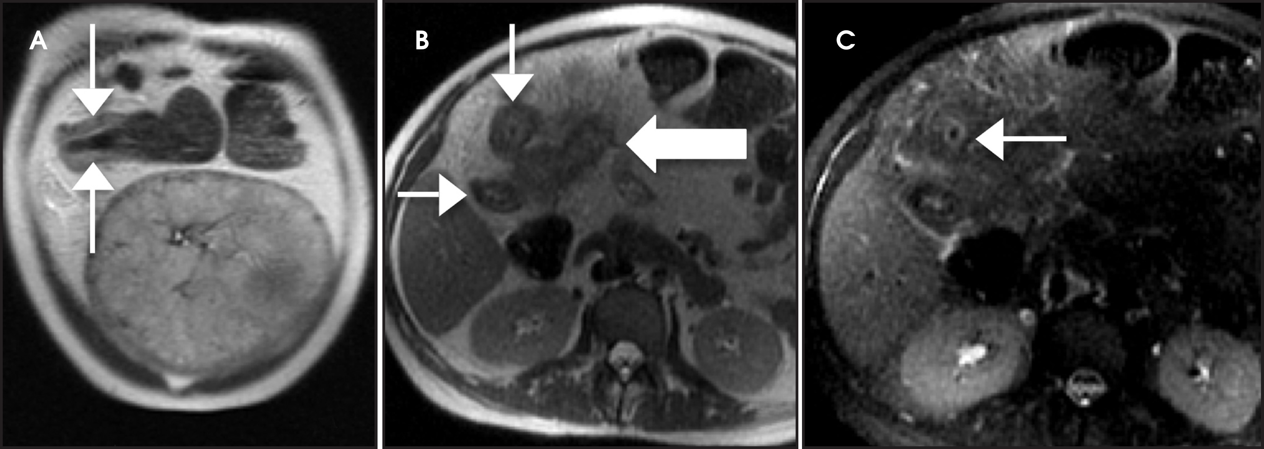 FIGURE 3.