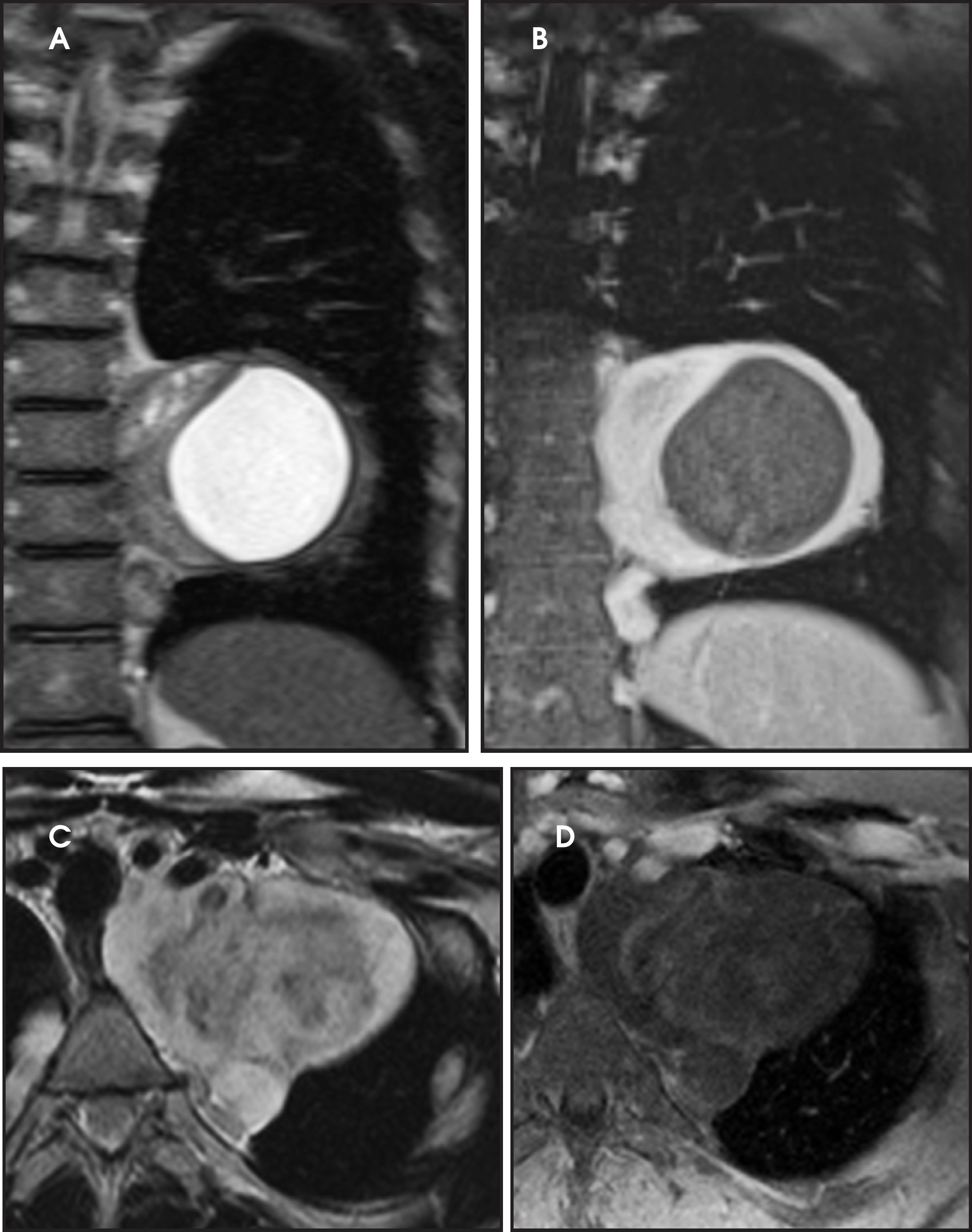 FIGURE 11.