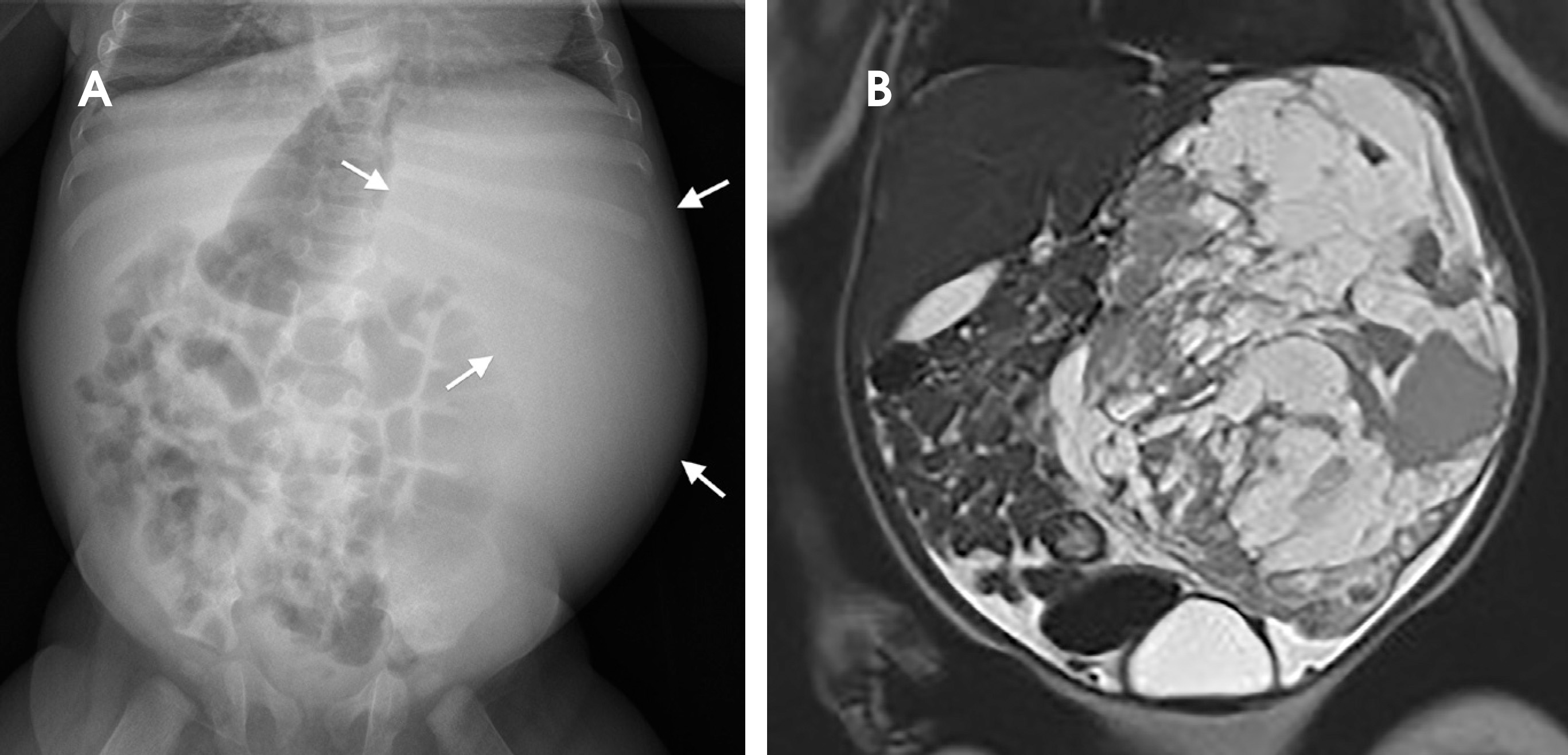 FIGURE 1.