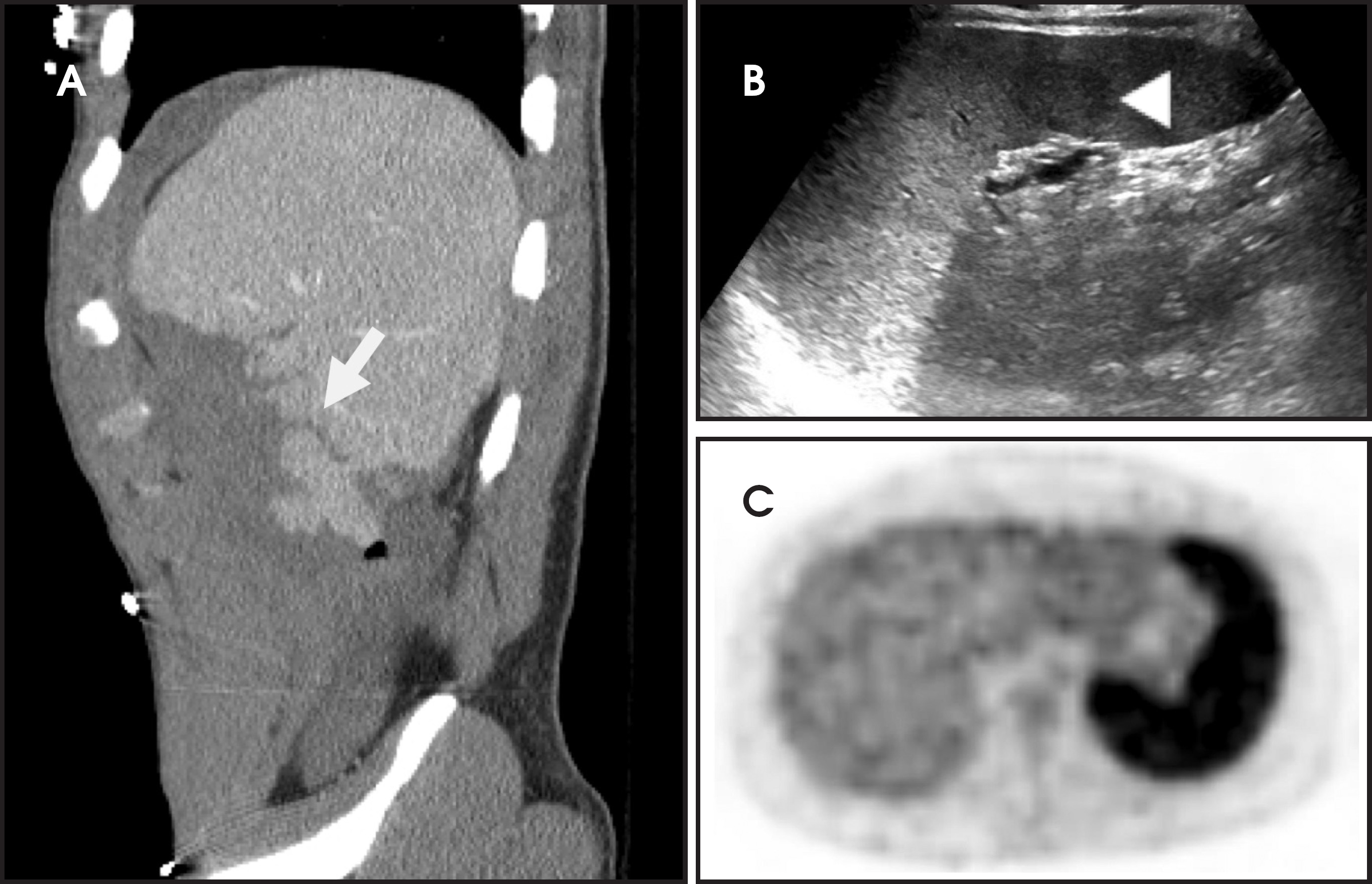 FIGURE 1.