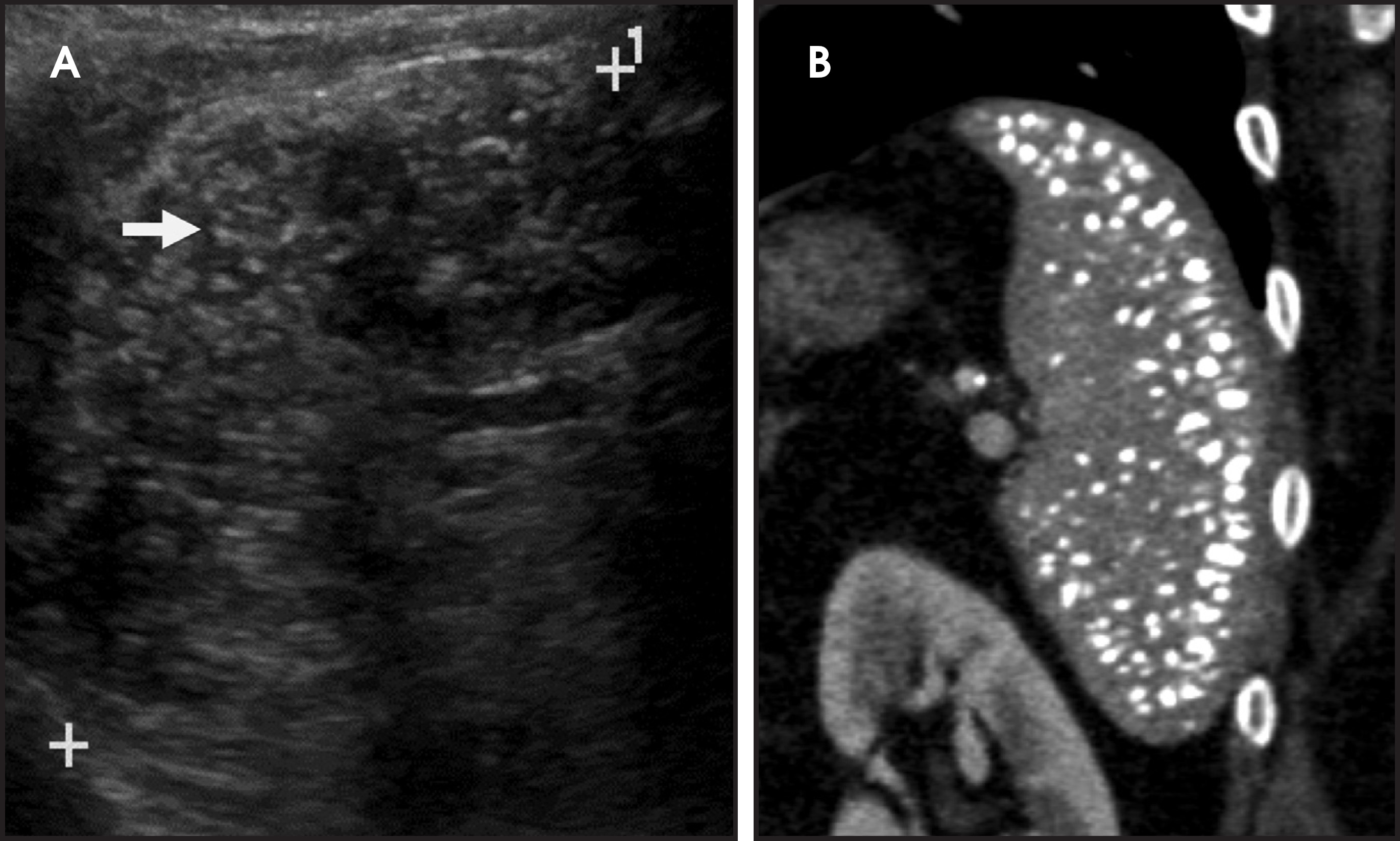 FIGURE 7.