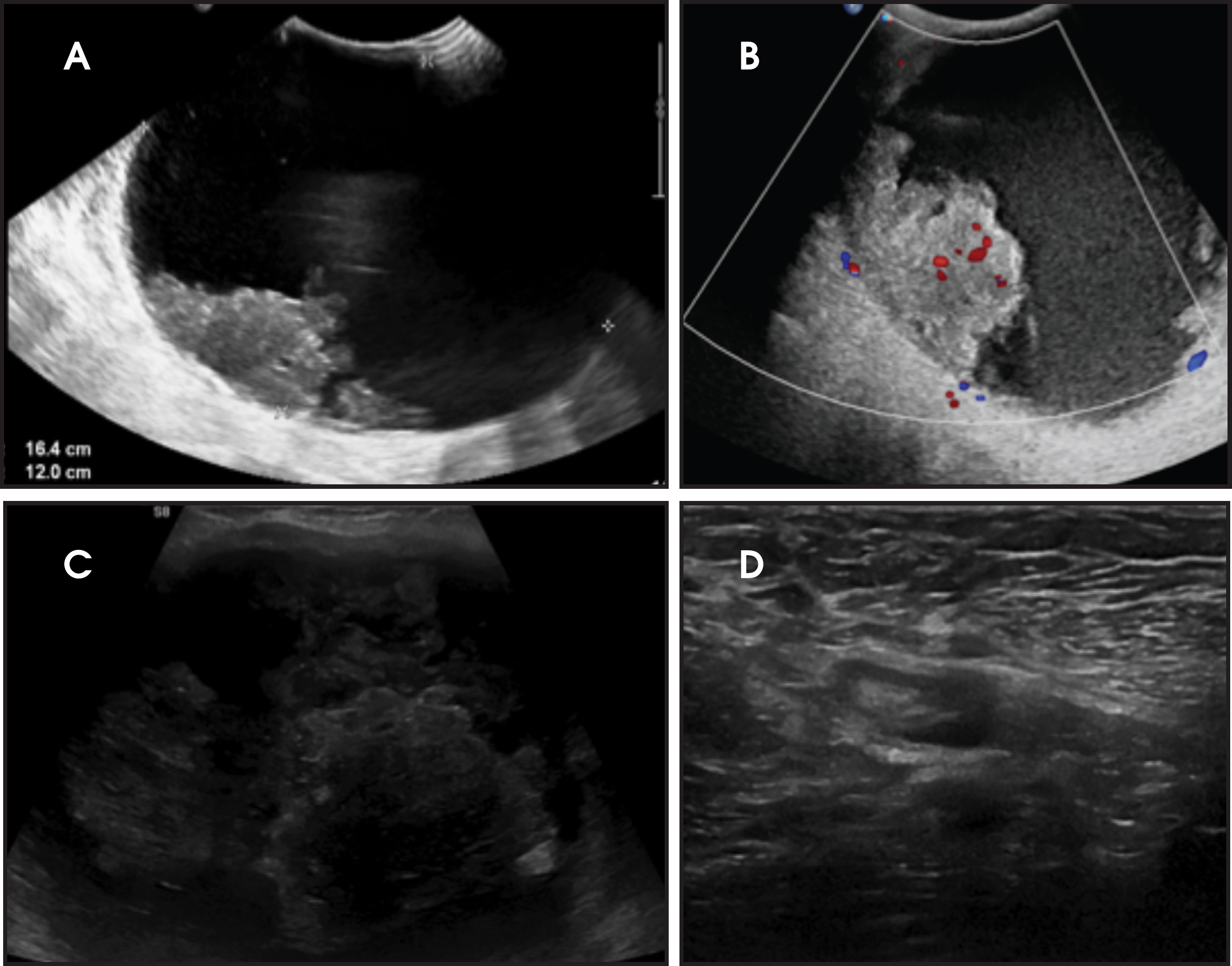 FIGURE 2.