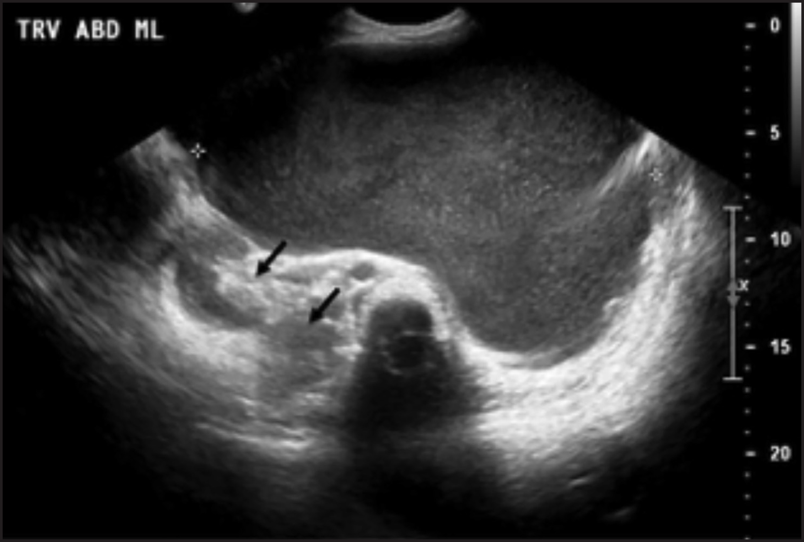 FIGURE 1.