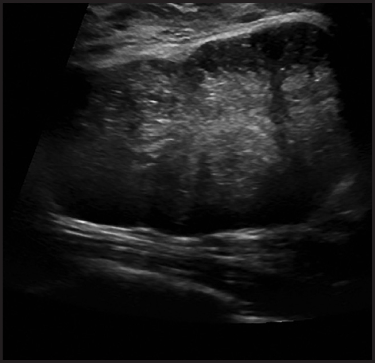 FIGURE 1.